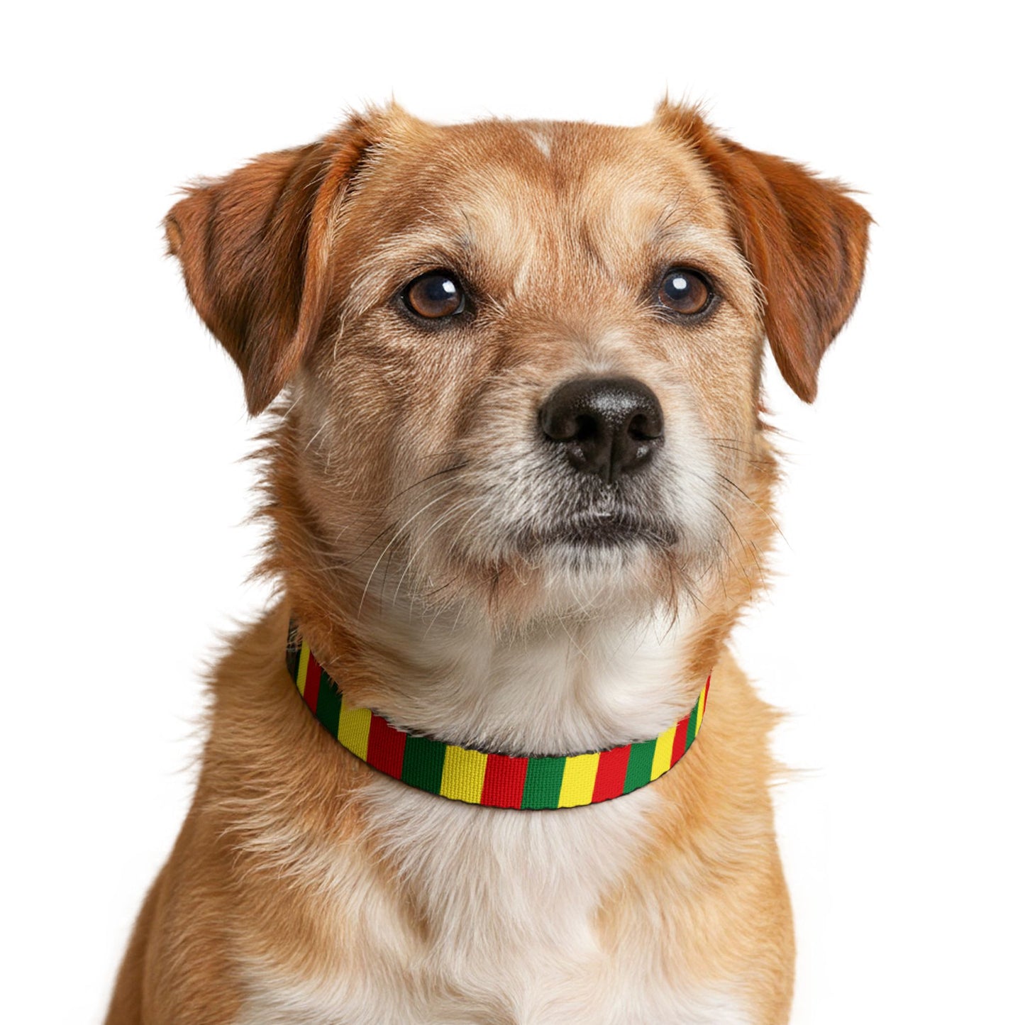 Senegal Soccer Dog Collar — Senegalese Flag Grid Clip-On Pet Collar, Fan Gear