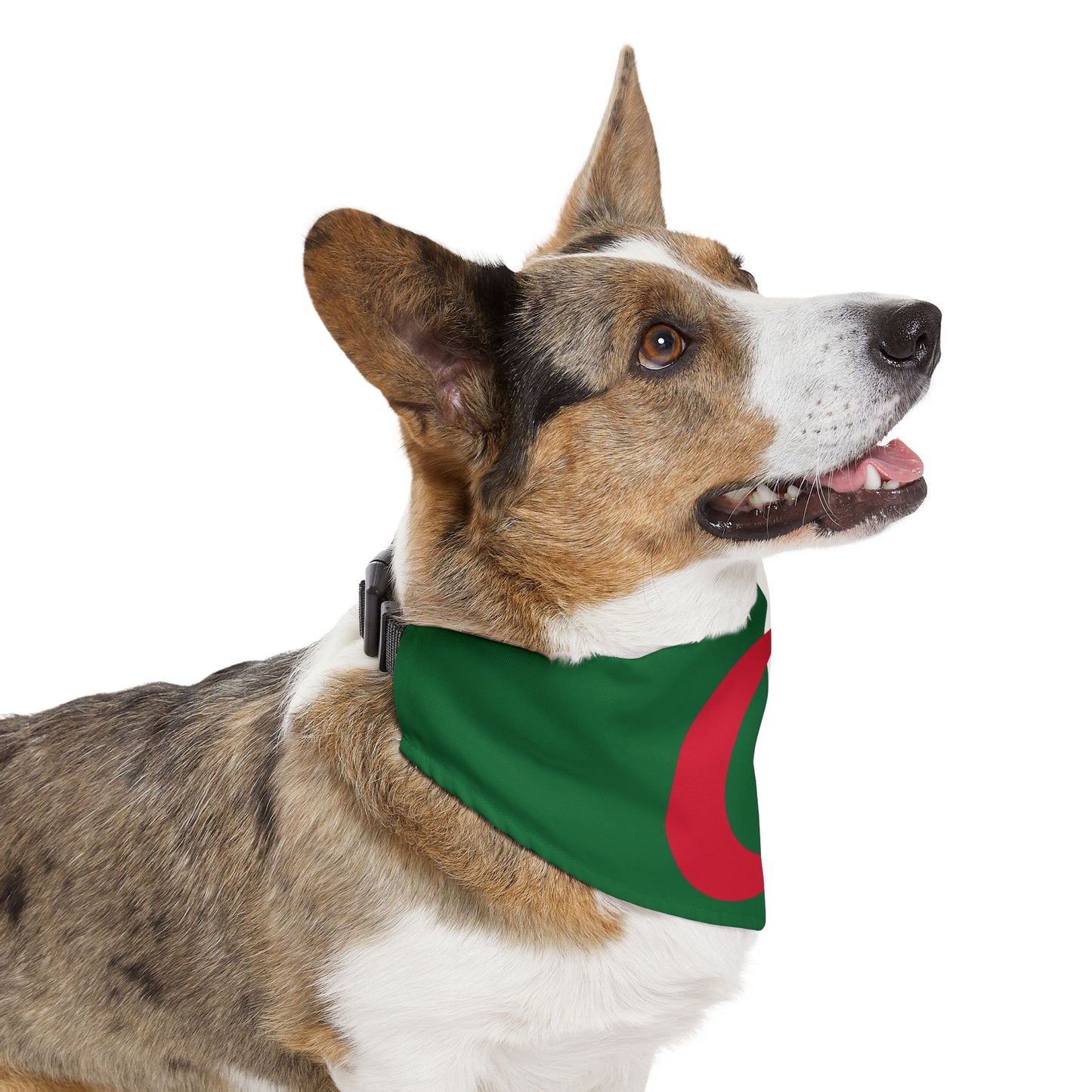 Algeria Soccer Dog Bandana — Algerian Flag Snap-On Pet Bandana, Fan Gear