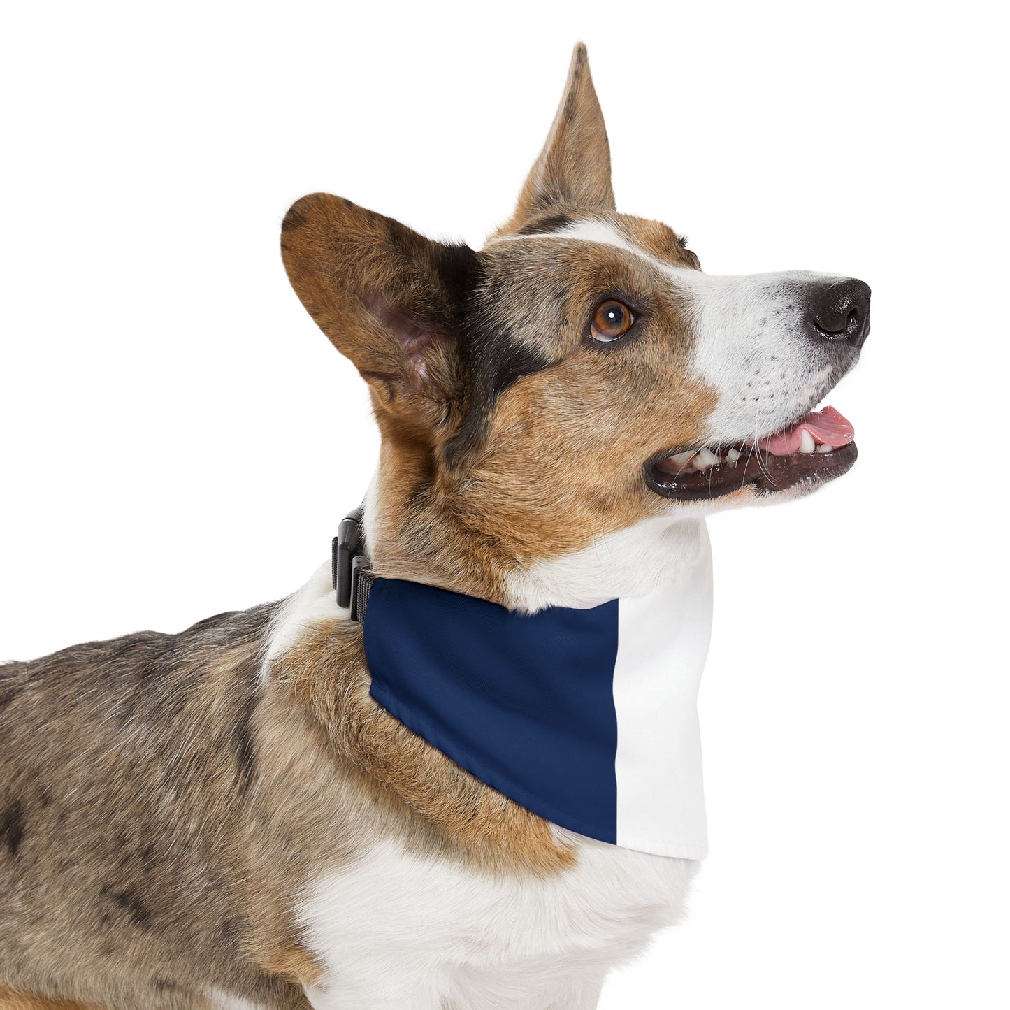 France Soccer Dog Bandana — French Flag Snap-On Pet Bandana, Fan Gear