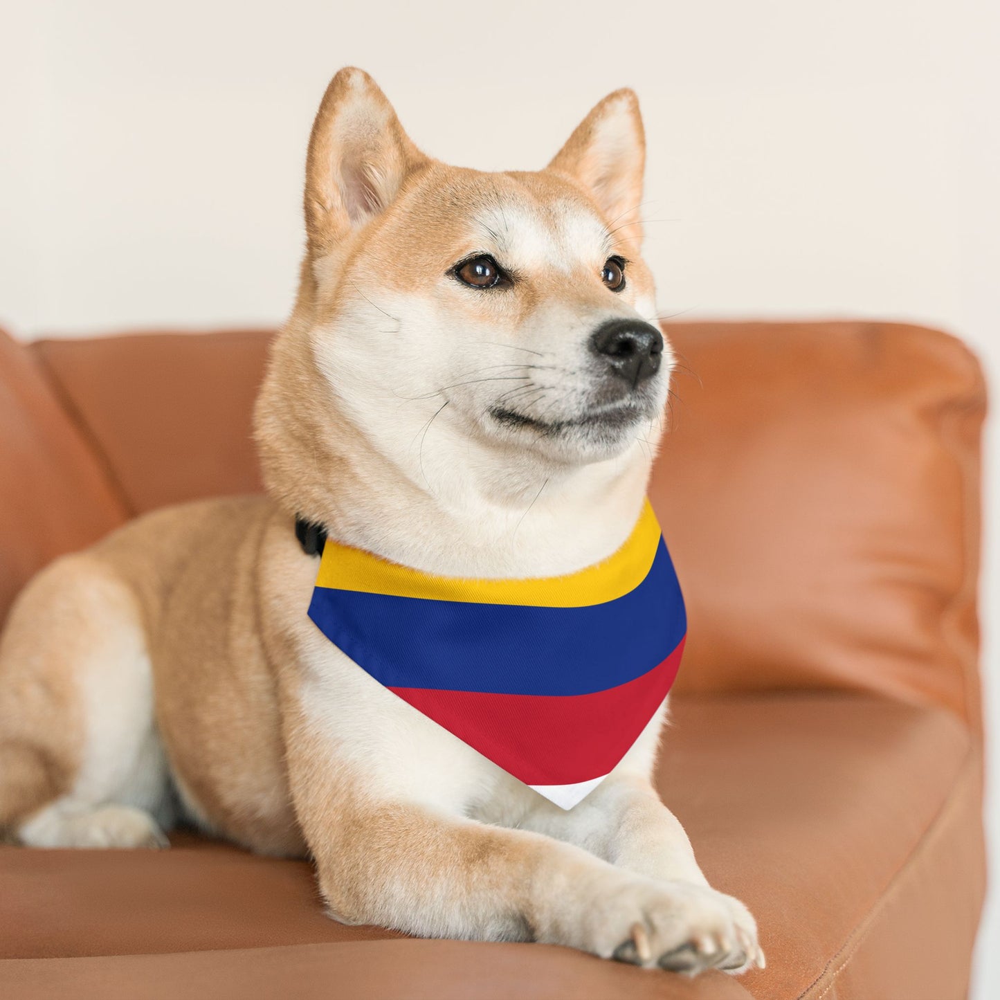 Colombia Soccer Dog Bandana — Colombian Flag Snap-On Pet Bandana, Fan Gear