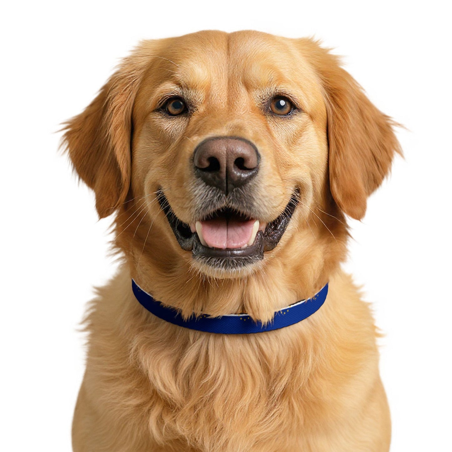 Cape Verde Soccer Dog Collar — Cape Verdean Flag Grid Clip-On Pet Collar, Fan Gear