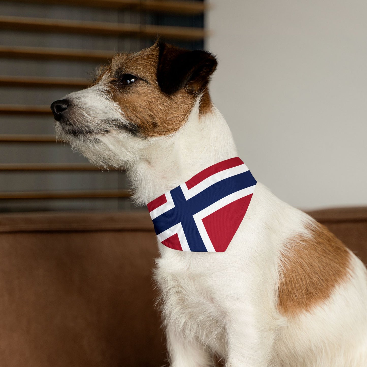 Norway Soccer Dog Bandana — Norwegian Flag Snap-On Pet Bandana, Fan Gear