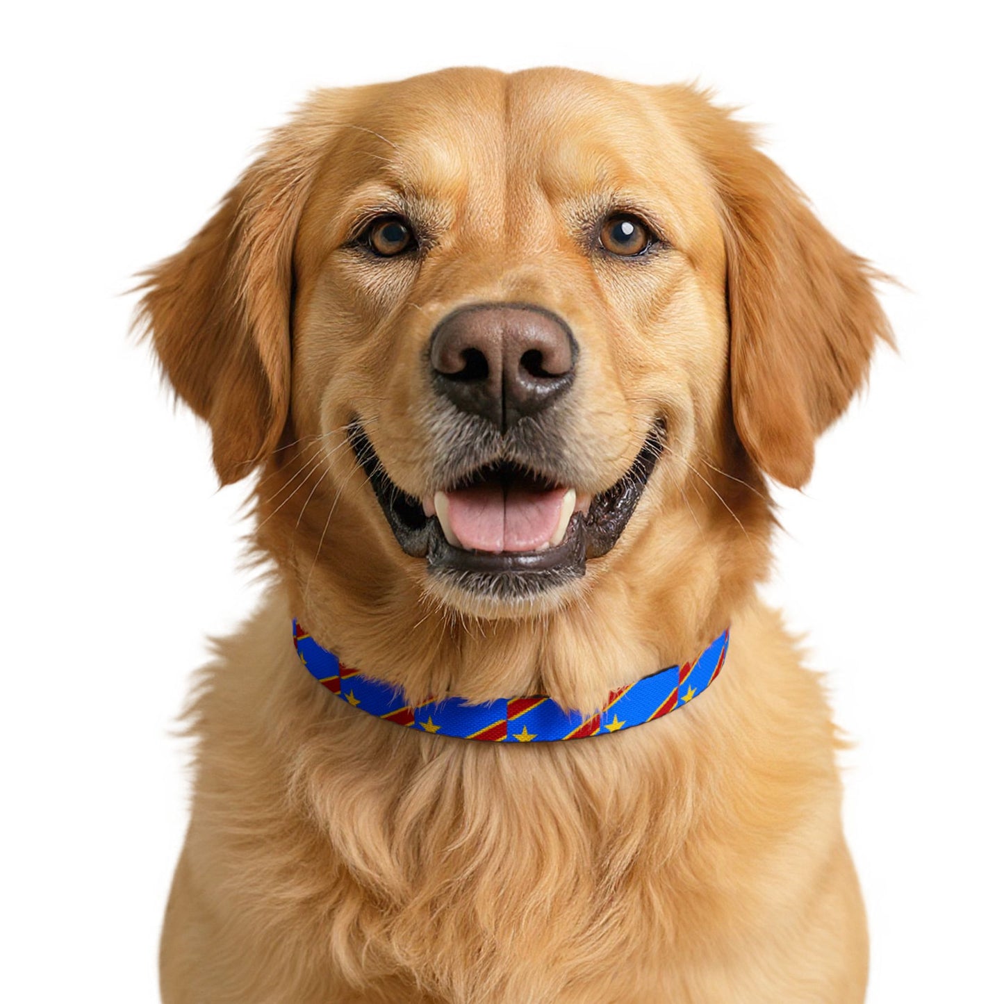 DR Congo Soccer Dog Collar — Congolese Flag Clip-On Pet Collar, Fan Gear