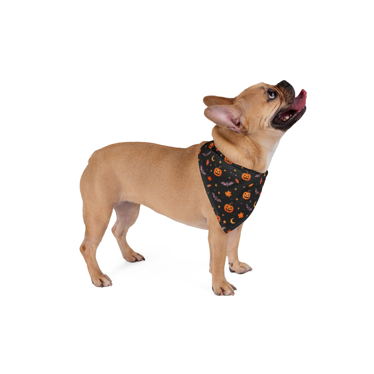 Halloween Dog Bandana — All-Over Print Pet Bandana, Trick-or-Treat Gear