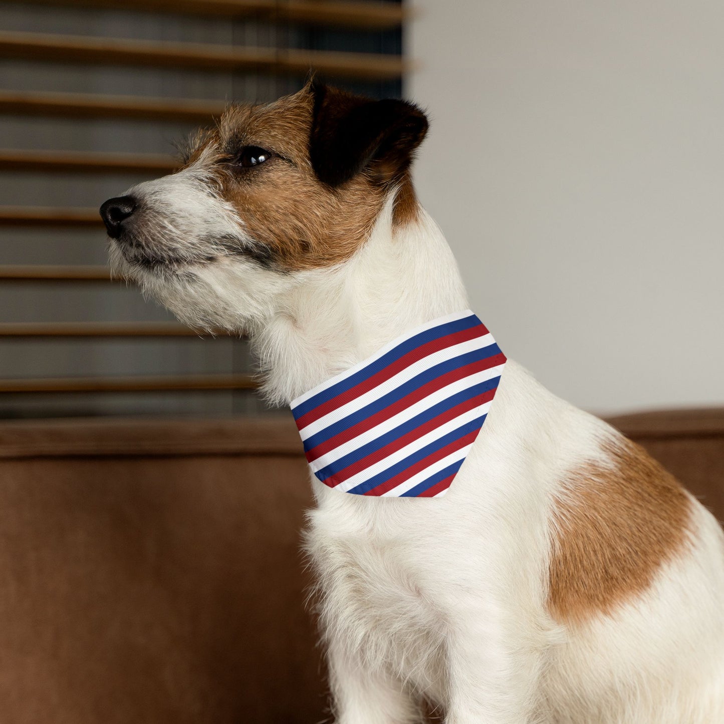 Netherlands Soccer Dog Bandana — Dutch Flag Snap-On Pet Bandana, Fan Gear