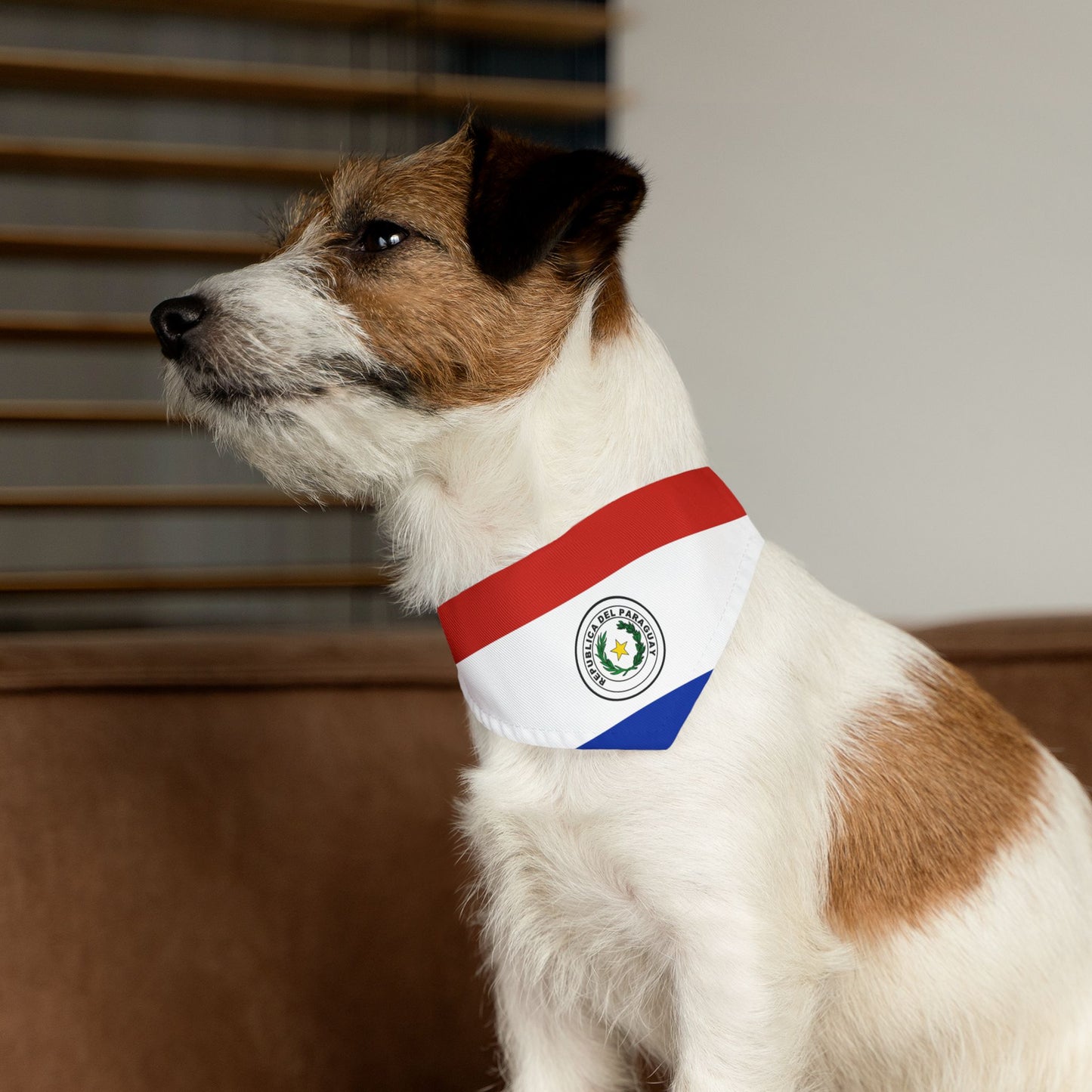 Paraguay Soccer Dog Bandana — Paraguayan Flag Snap-On Pet Bandana, Fan Gear