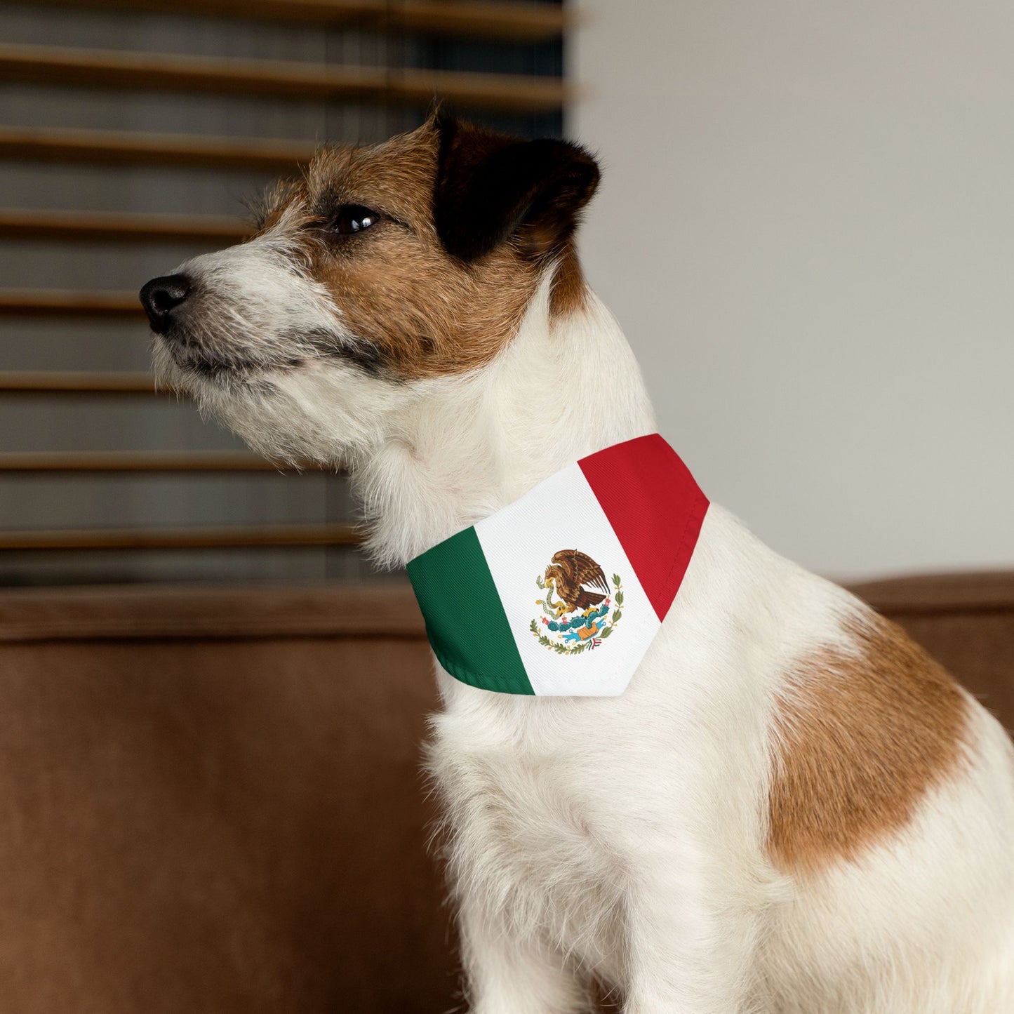 Mexico Soccer Dog Bandana — Mexican Flag Snap-On Pet Bandana, Fan Gear
