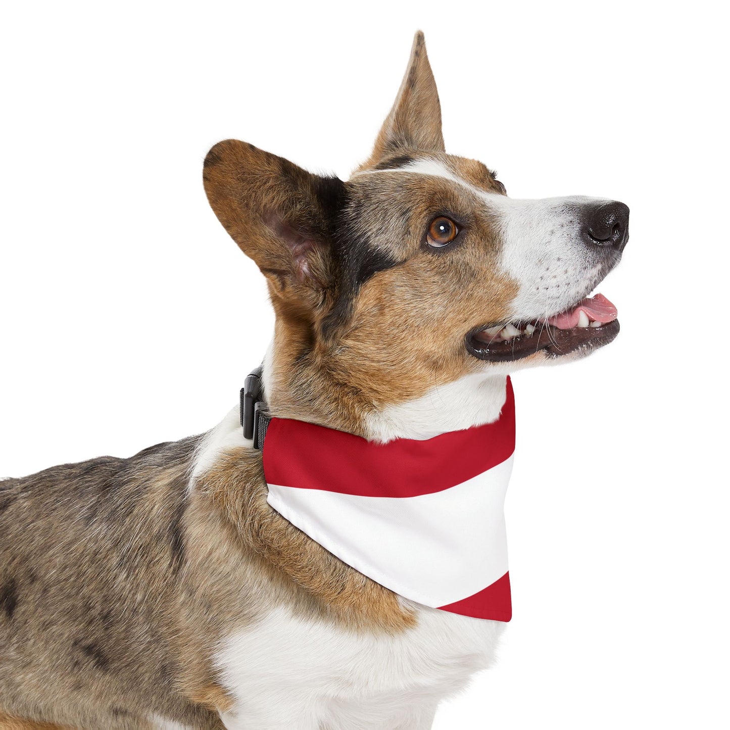 Austria Soccer Dog Bandana — Austrian Flag Snap-On Pet Bandana, Fan Gear