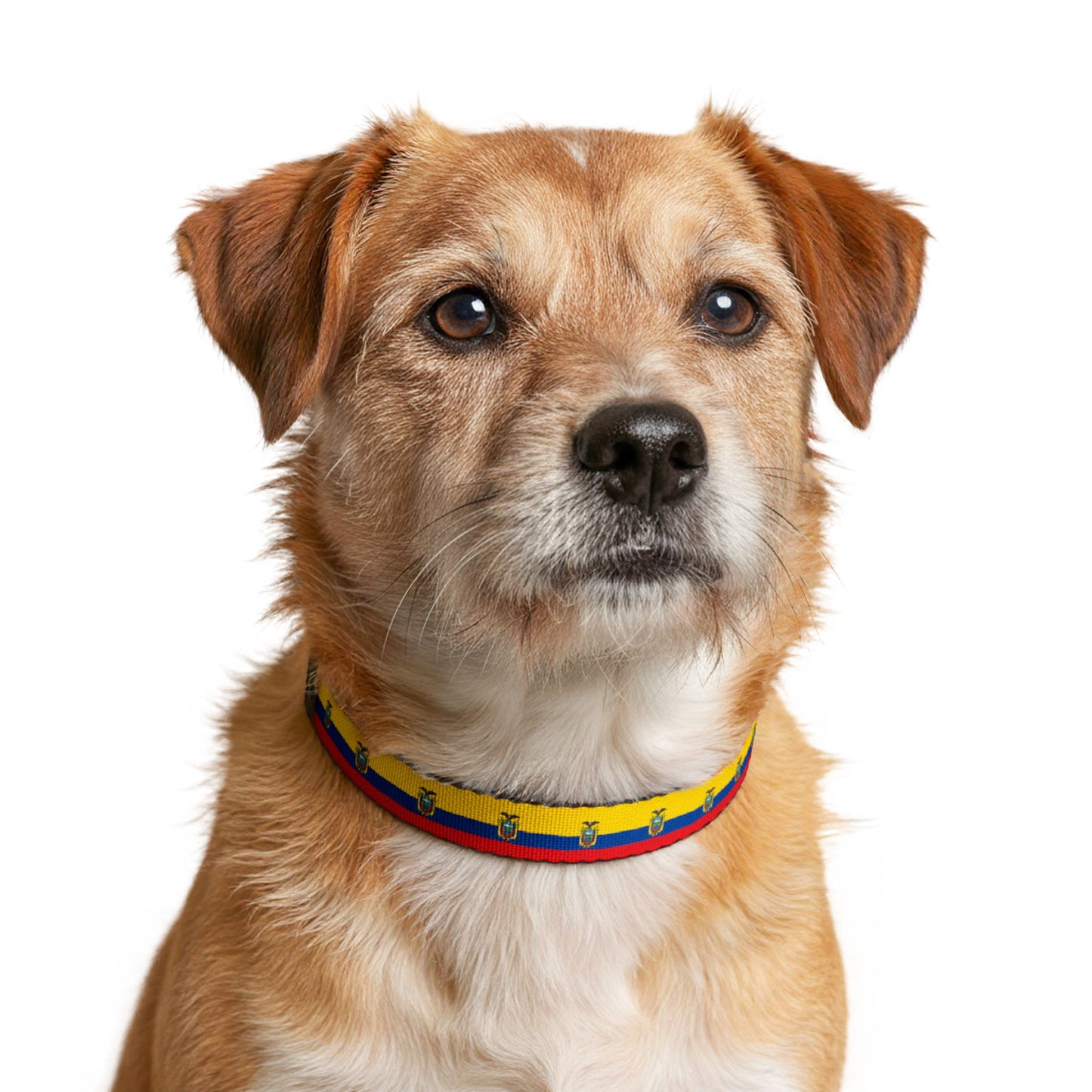 Ecuador Soccer Dog Collar — Ecuadorian Flag Grid Clip-On Pet Collar, Fan Gear