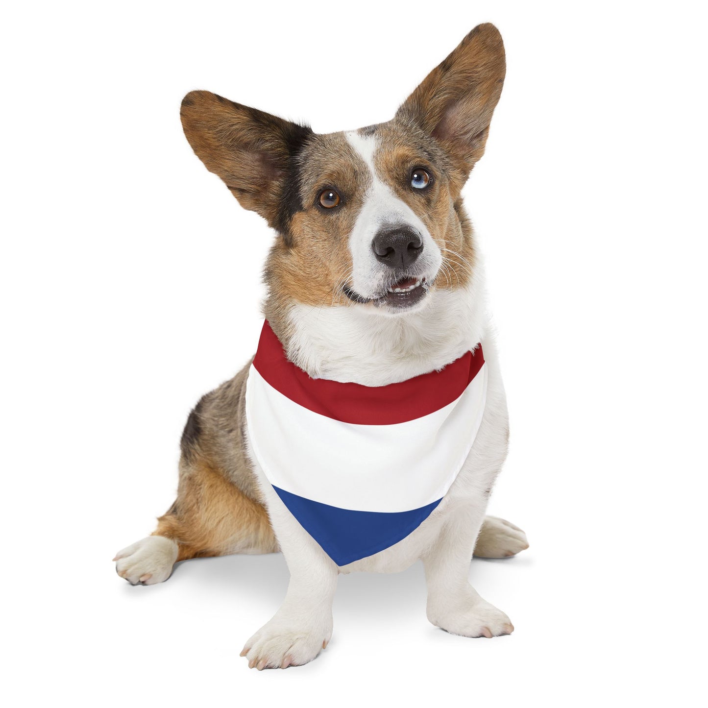 Netherlands Soccer Dog Bandana — Dutch Flag Snap-On Pet Bandana, Fan Gear