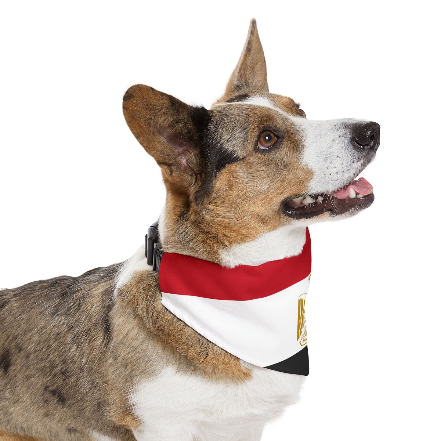 Egypt Soccer Dog Bandana — Egyptian Flag Snap-On Pet Bandana, Fan Gear