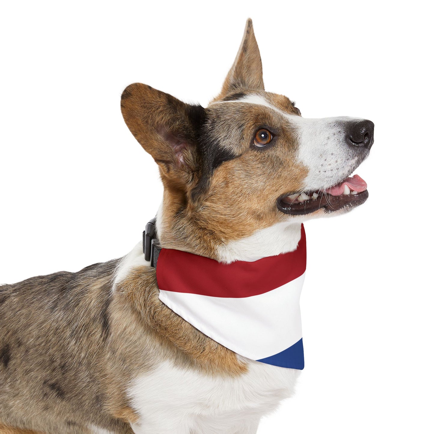 Netherlands Soccer Dog Bandana — Dutch Flag Snap-On Pet Bandana, Fan Gear