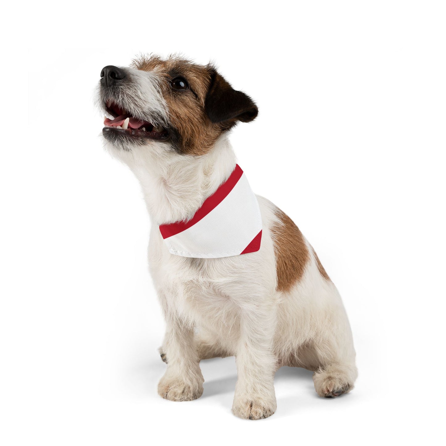 Austria Soccer Dog Bandana — Austrian Flag Snap-On Pet Bandana, Fan Gear