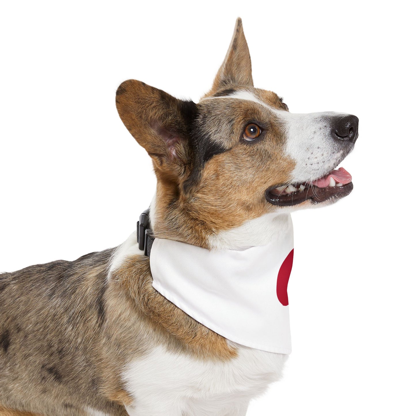 Japan Soccer Dog Bandana — Japanese Flag Snap-On Pet Bandana, Fan Gear