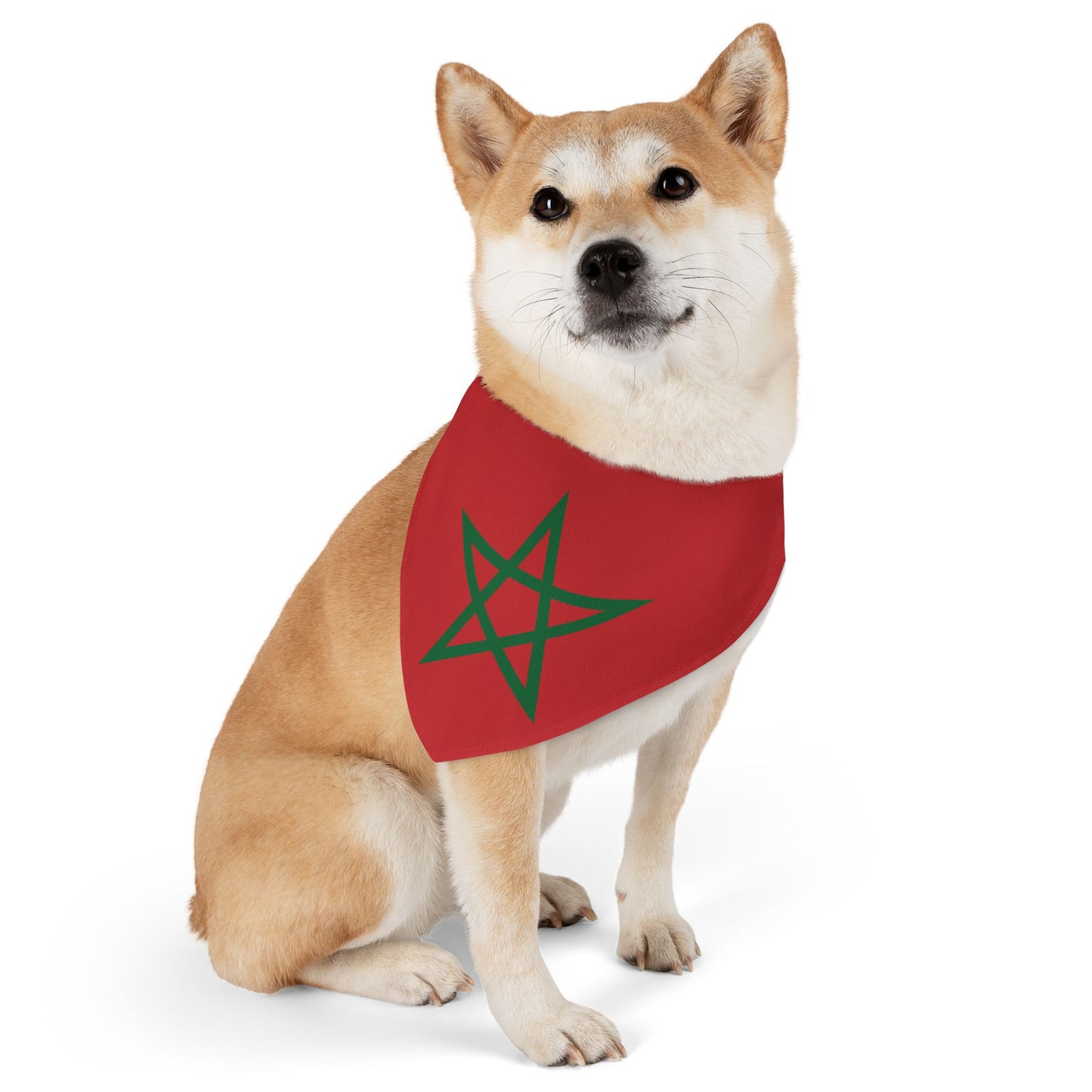 Morocco Soccer Dog Bandana — Moroccan Flag Snap-On Pet Bandana, Fan Gear