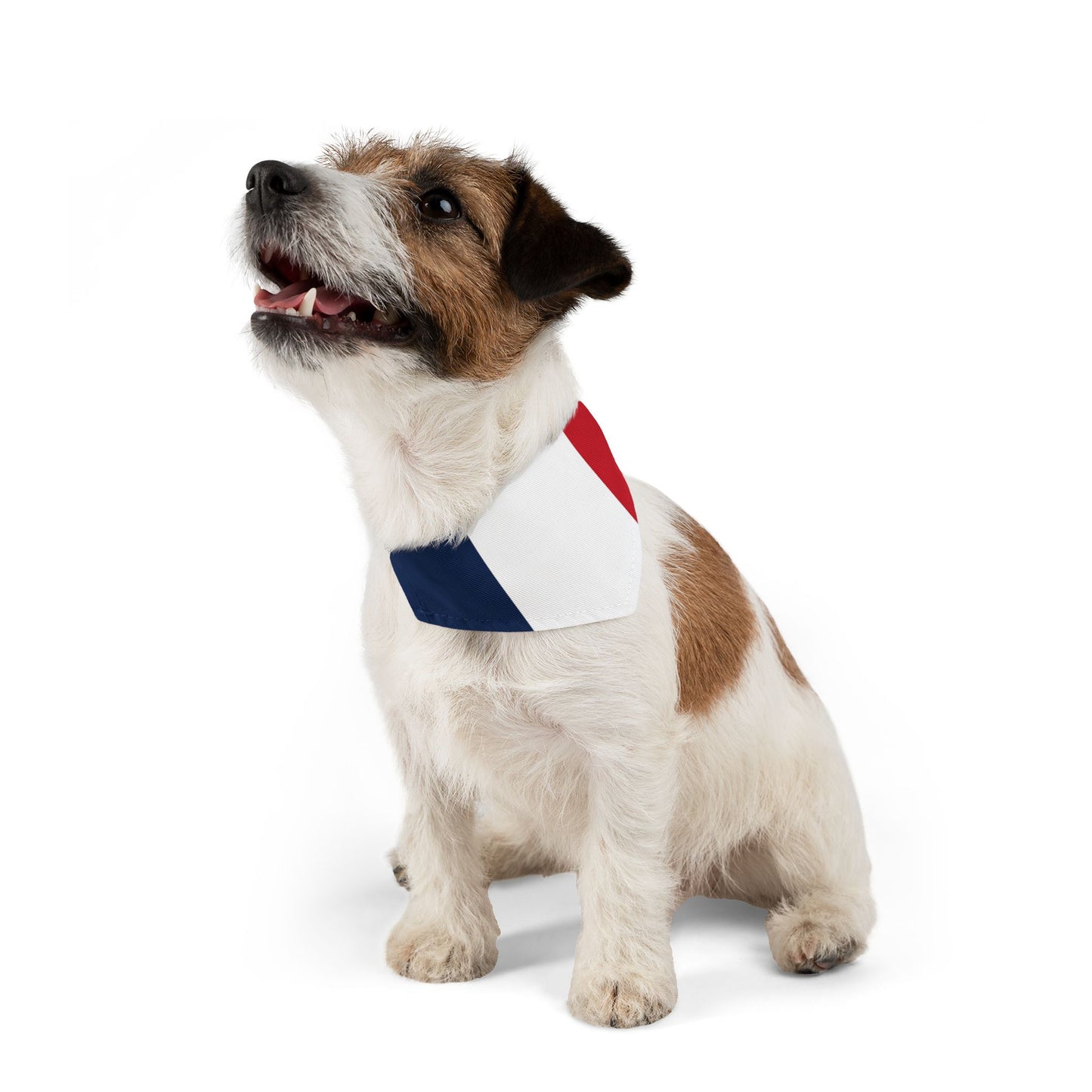 France Soccer Dog Bandana — French Flag Snap-On Pet Bandana, Fan Gear