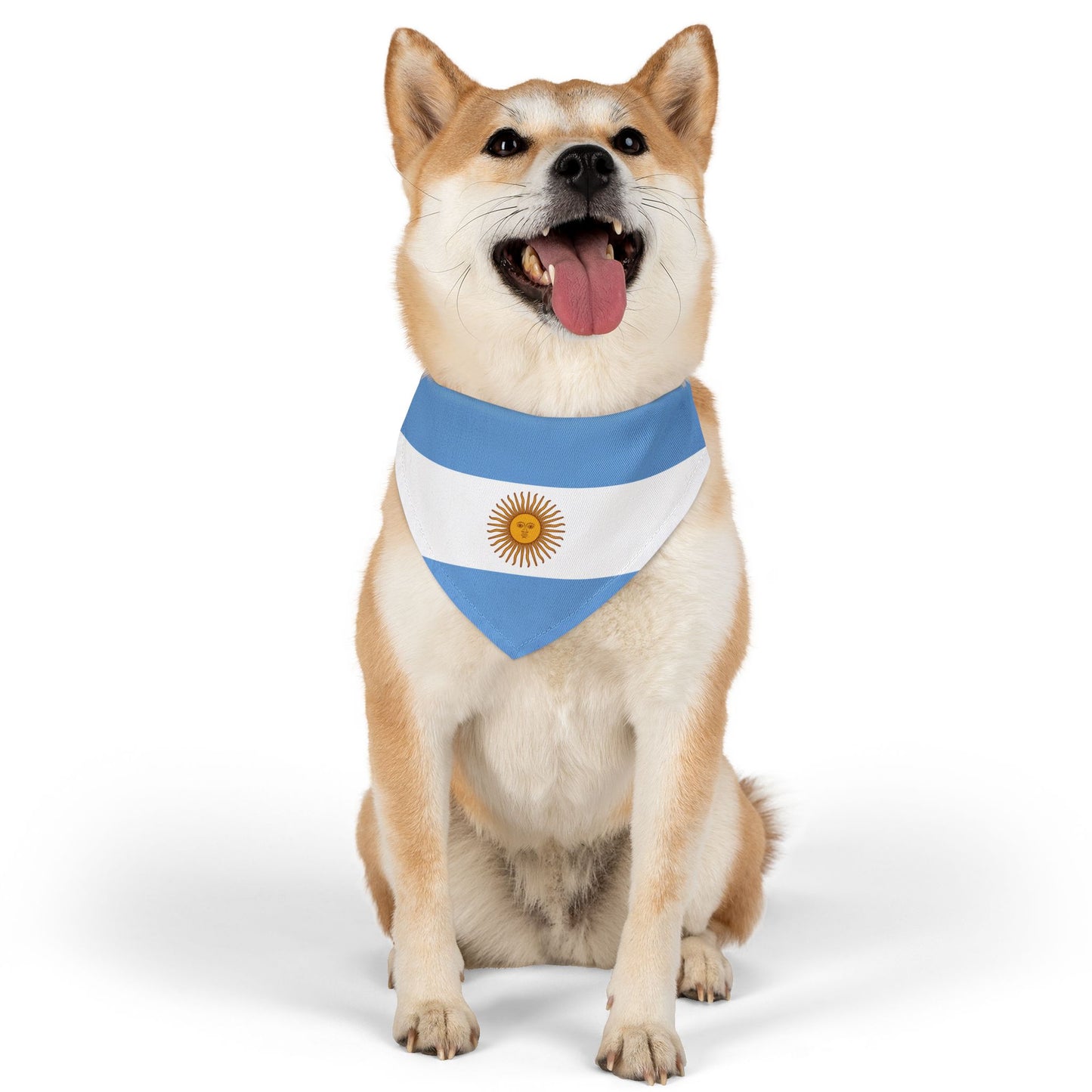 Argentina Soccer Dog Bandana — Argentine Flag Snap-On Pet Bandana, Fan Gear