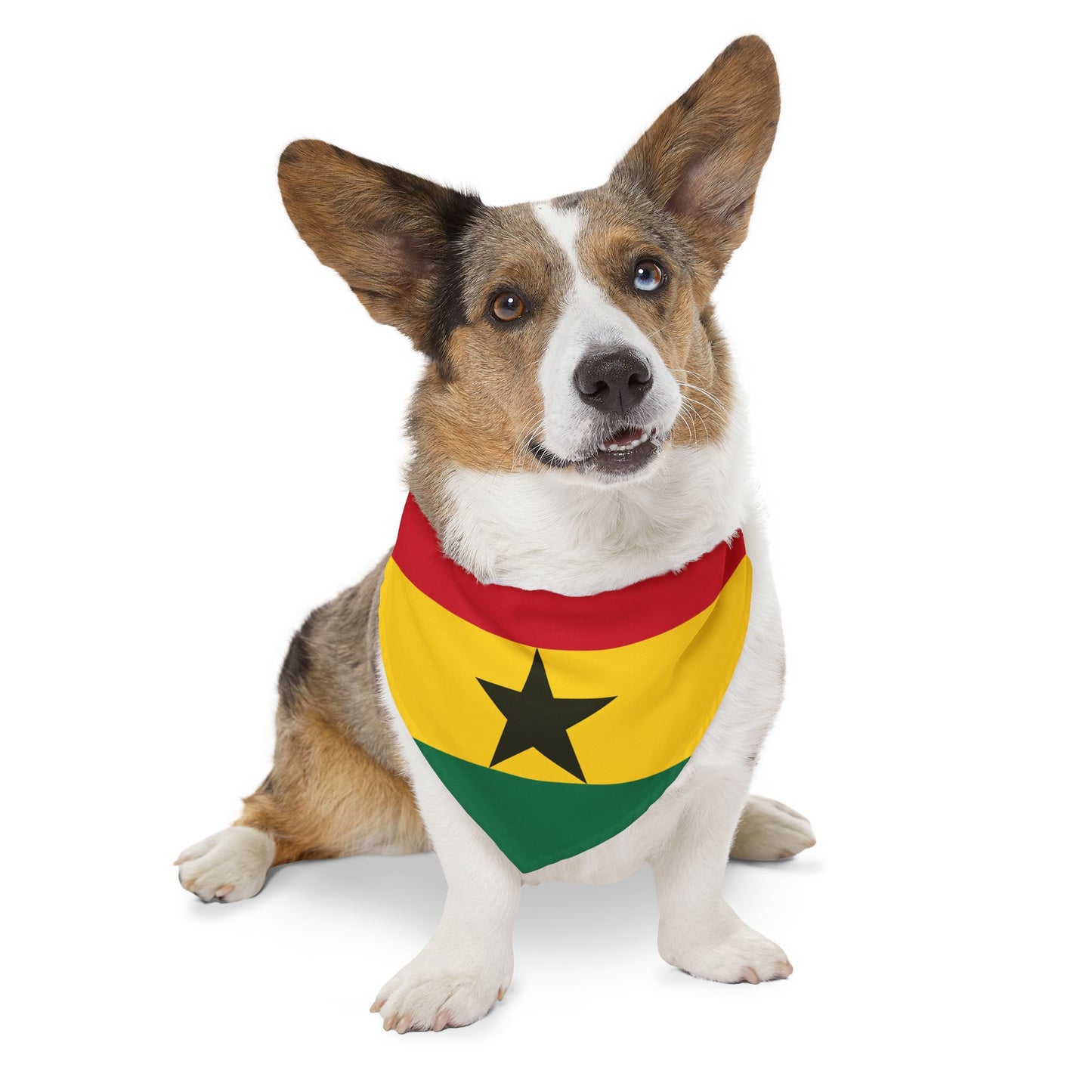 Ghana Soccer Dog Bandana — Ghanaian Flag Snap-On Pet Bandana, Fan Gear