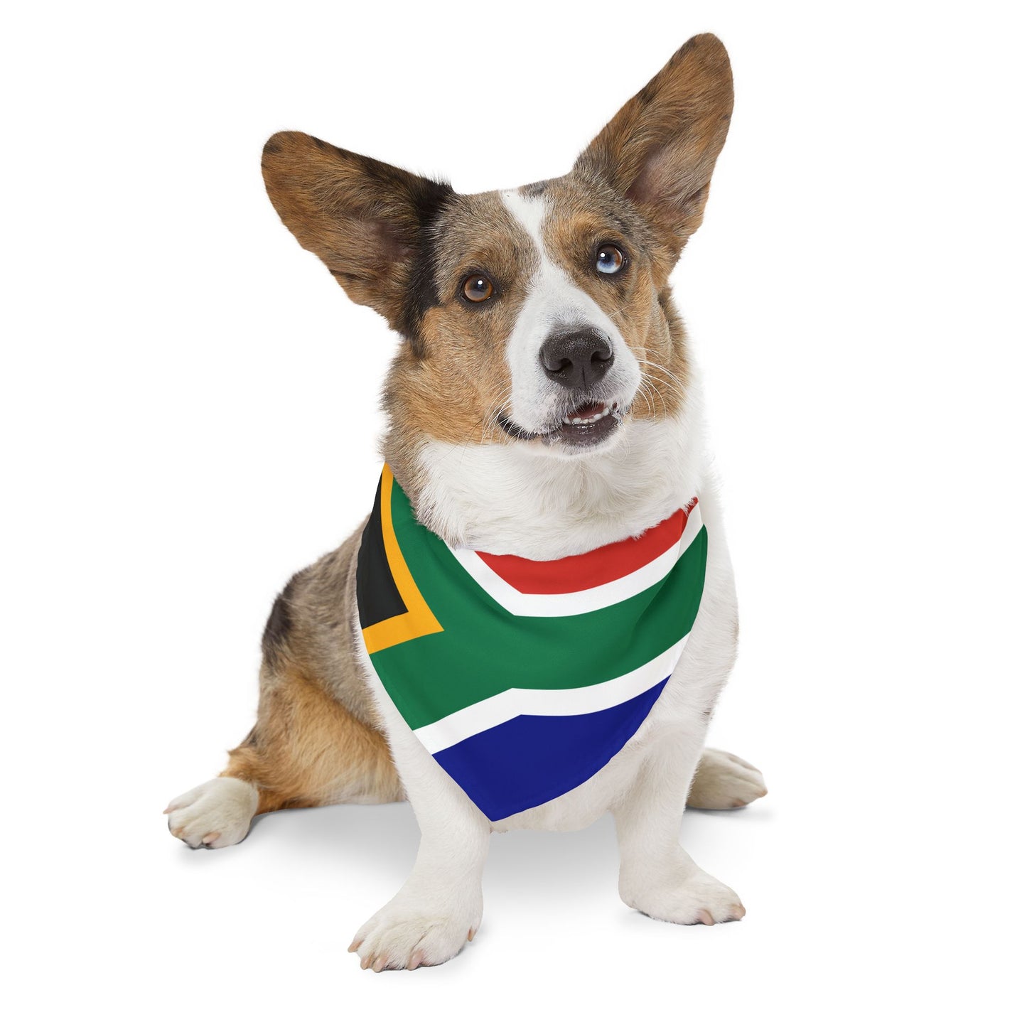 South Africa Soccer Dog Bandana — South African Flag Snap-On Pet Bandana, Fan Gear