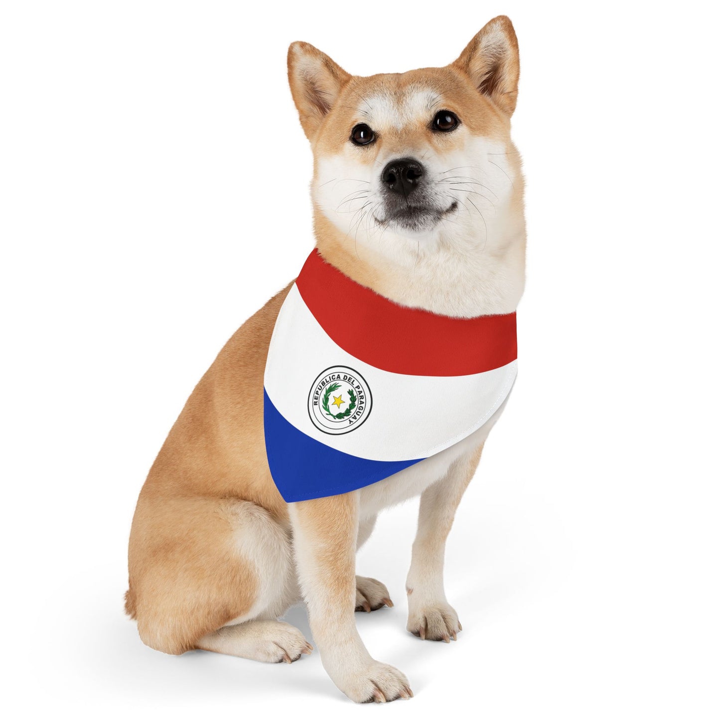 Paraguay Soccer Dog Bandana — Paraguayan Flag Snap-On Pet Bandana, Fan Gear