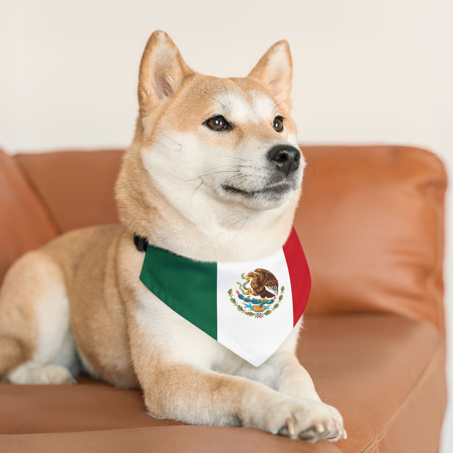 Mexico Soccer Dog Bandana — Mexican Flag Snap-On Pet Bandana, Fan Gear