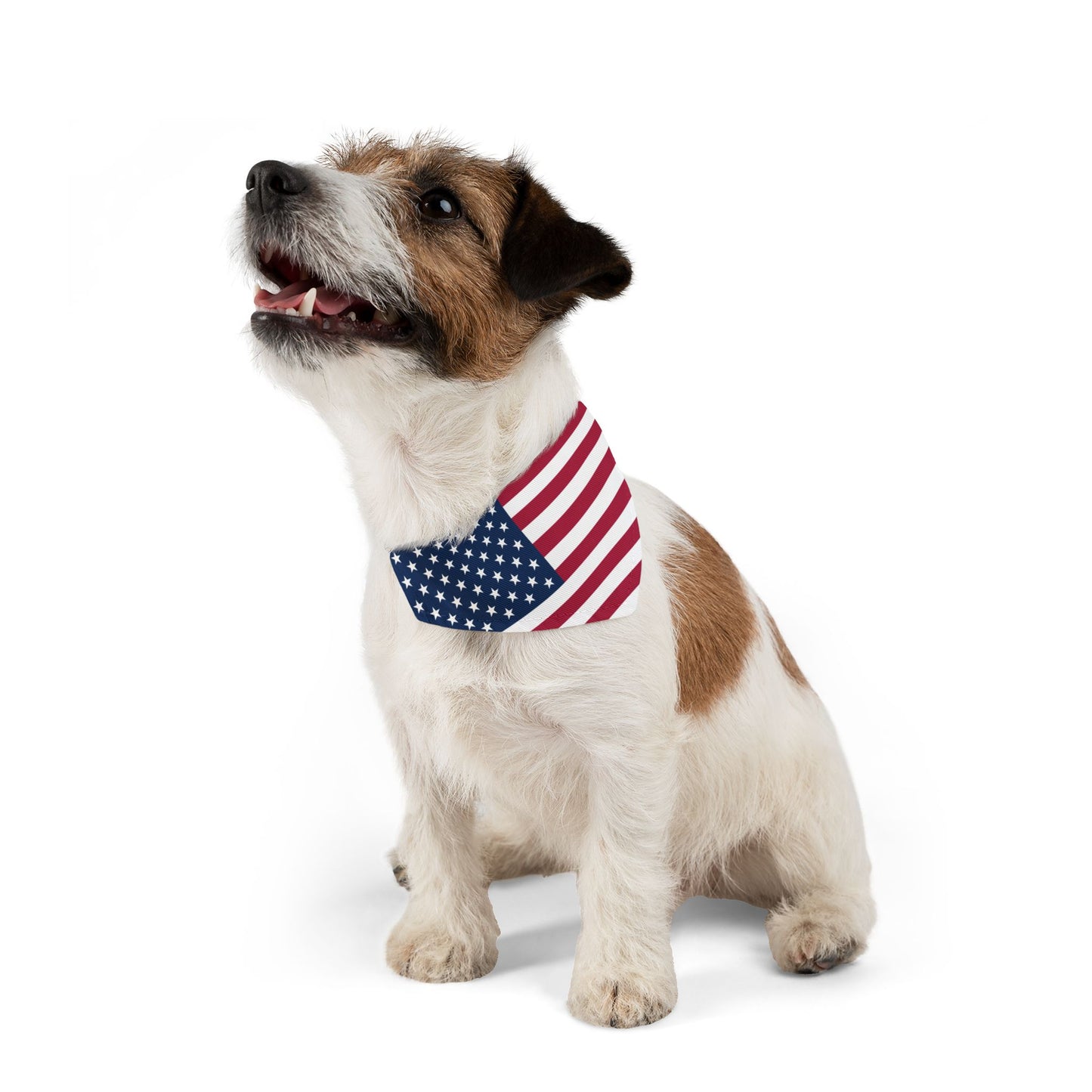 United States Soccer Dog Collar — American Flag Grid Clip-On Pet Collar, Fan Gear