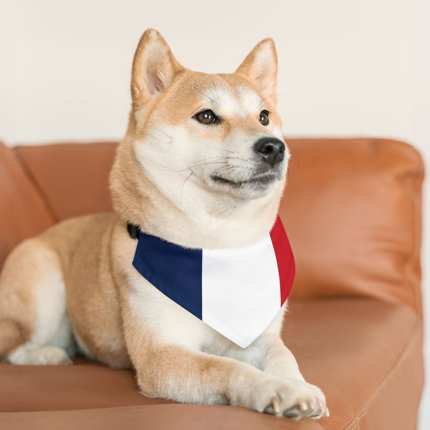 France Soccer Dog Bandana — French Flag Snap-On Pet Bandana, Fan Gear