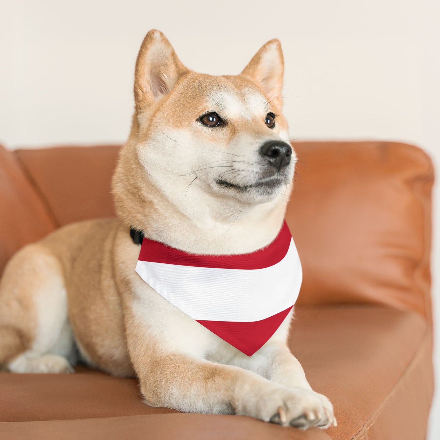 Austria Soccer Dog Bandana — Austrian Flag Snap-On Pet Bandana, Fan Gear