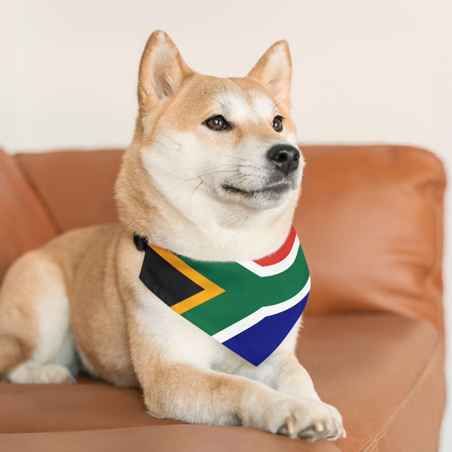 South Africa Soccer Dog Bandana — South African Flag Snap-On Pet Bandana, Fan Gear