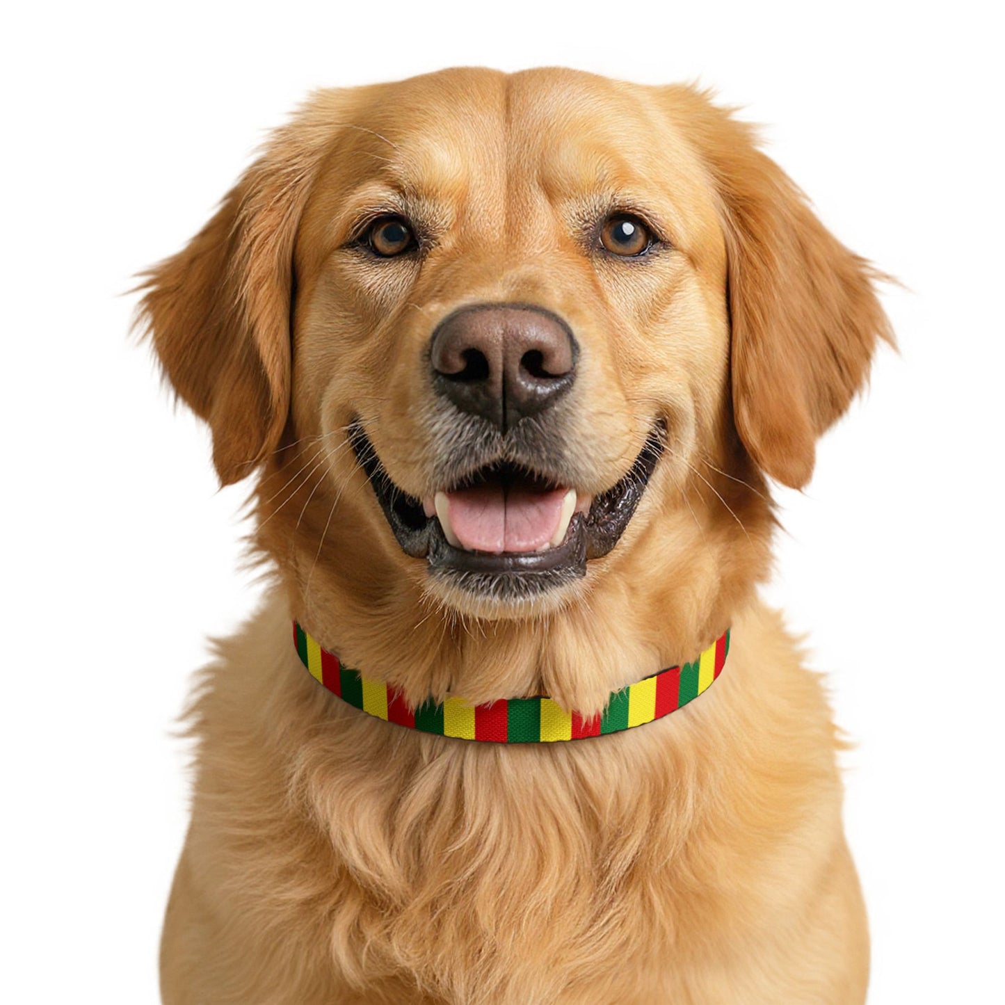 Senegal Soccer Dog Collar — Senegalese Flag Grid Clip-On Pet Collar, Fan Gear