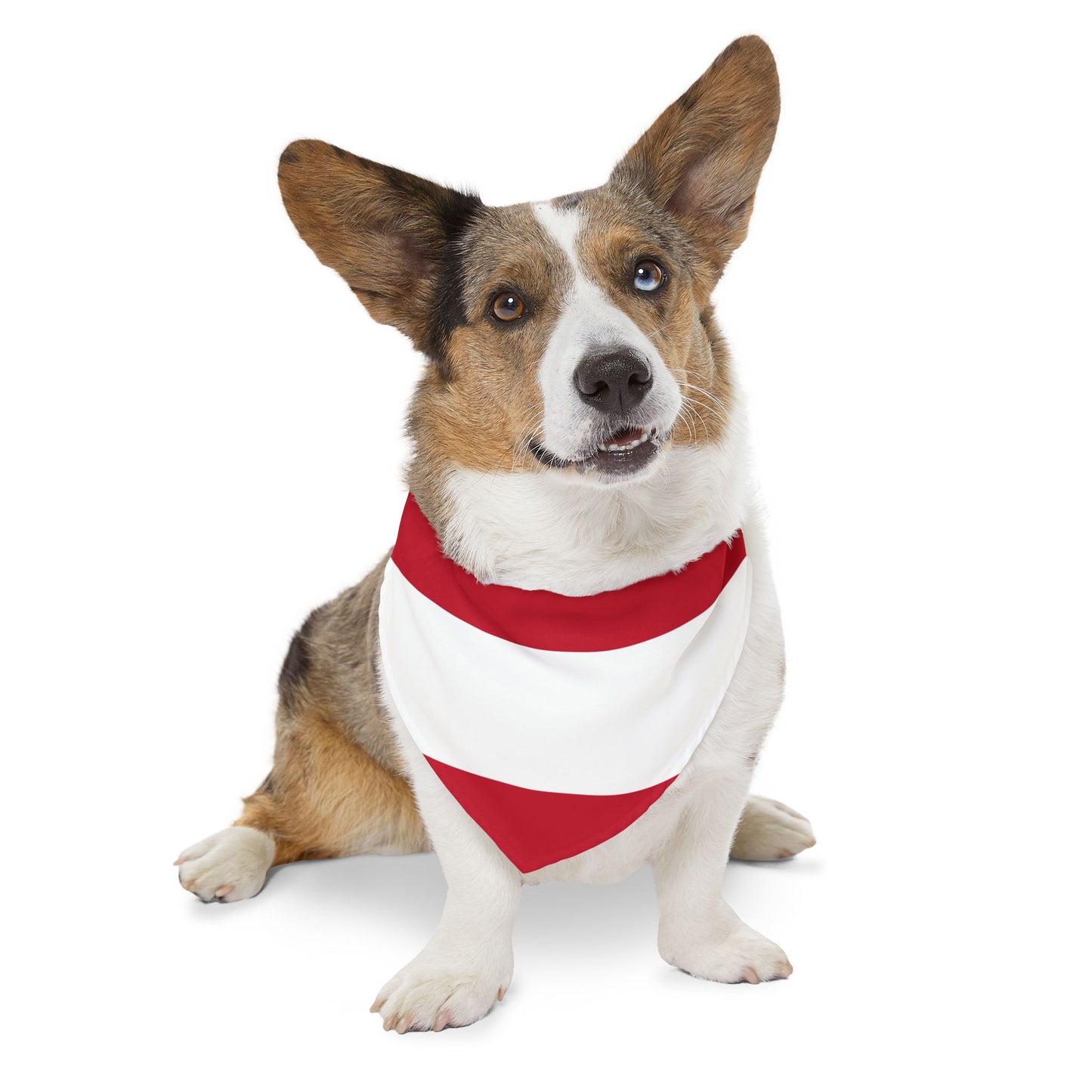 Austria Soccer Dog Bandana — Austrian Flag Snap-On Pet Bandana, Fan Gear