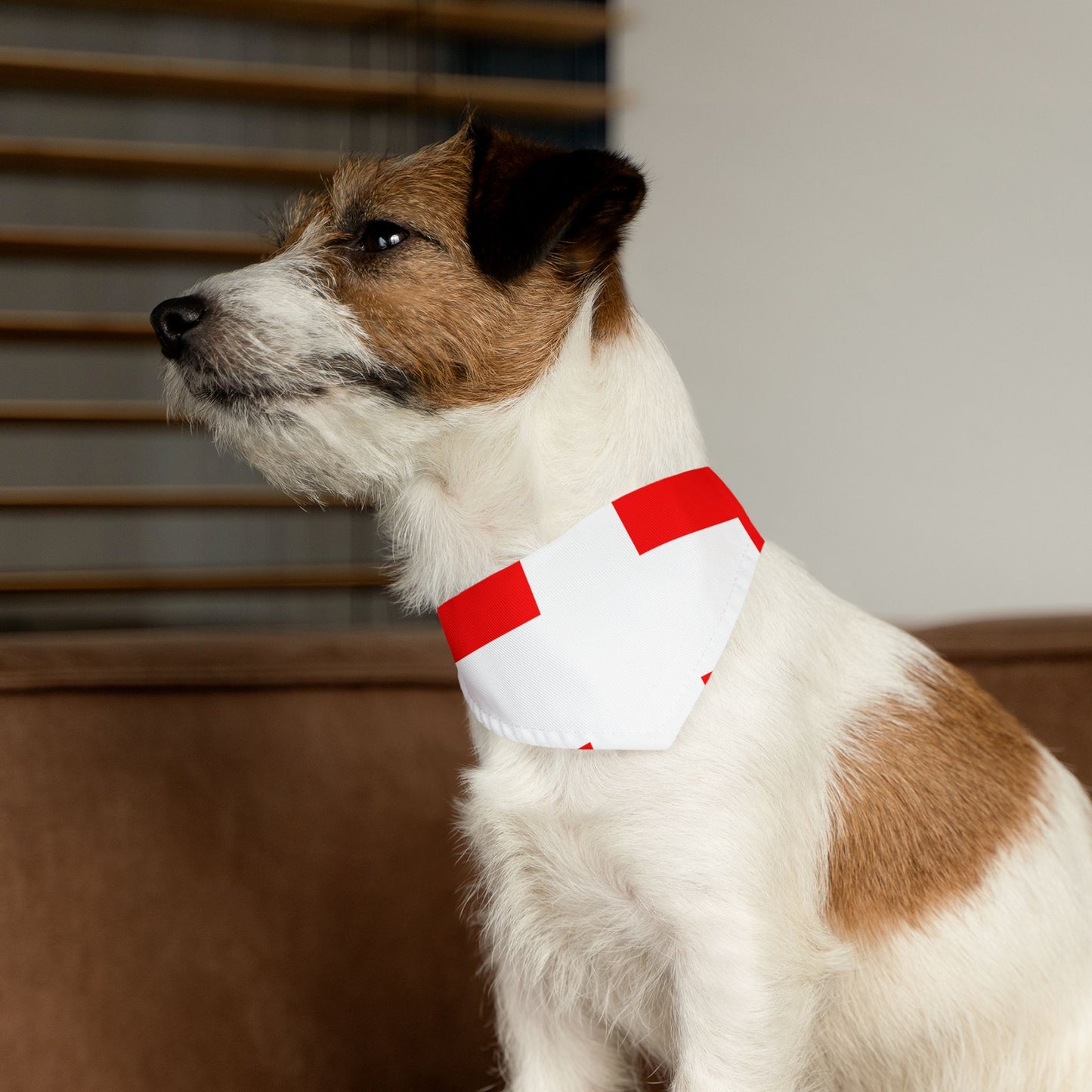 Switzerland Soccer Dog Bandana — Swiss Flag Snap-On Pet Bandana, Fan Gear