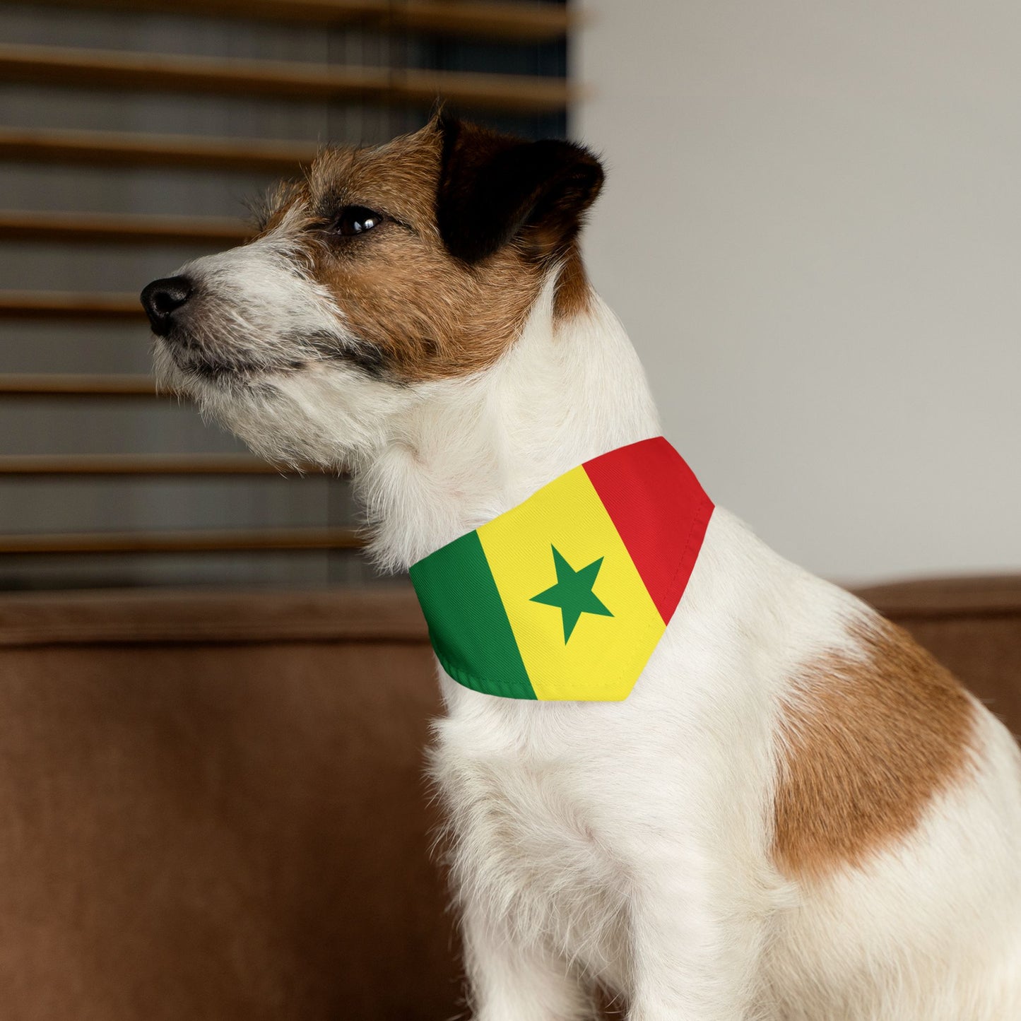 Senegal Soccer Dog Bandana — Senegalese Flag Snap-On Pet Bandana, Fan Gear