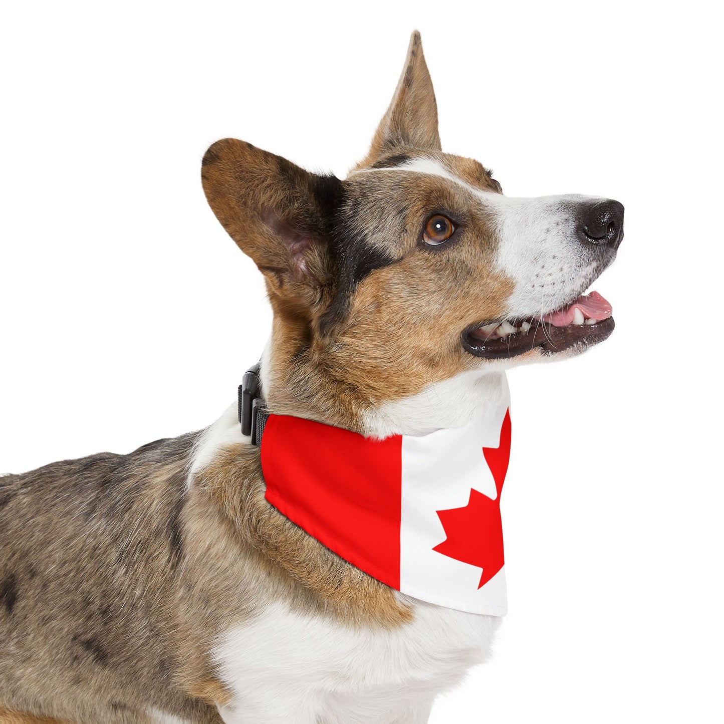 Canada Soccer Dog Bandana — Canadian Flag Snap-On Pet Bandana, Fan Gear