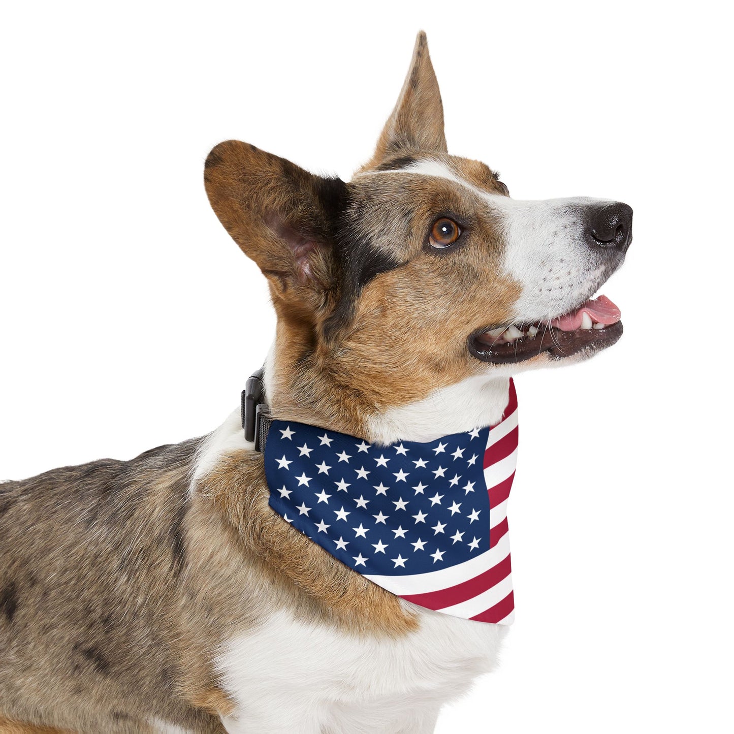 United States Soccer Dog Collar — American Flag Grid Clip-On Pet Collar, Fan Gear