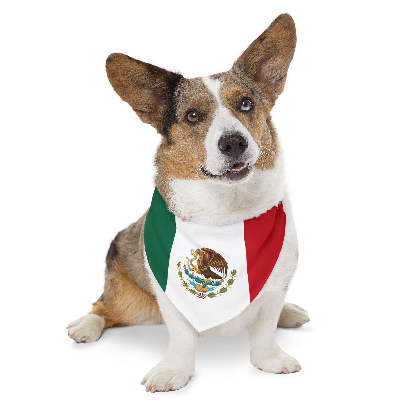 Mexico Soccer Dog Bandana — Mexican Flag Snap-On Pet Bandana, Fan Gear