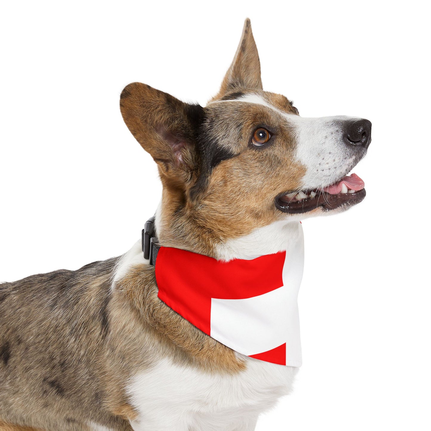 Switzerland Soccer Dog Bandana — Swiss Flag Snap-On Pet Bandana, Fan Gear