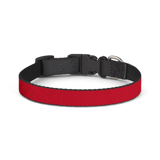 Austria Soccer Dog Collar — Austrian Flag Clip-On Pet Collar, Fan Gear