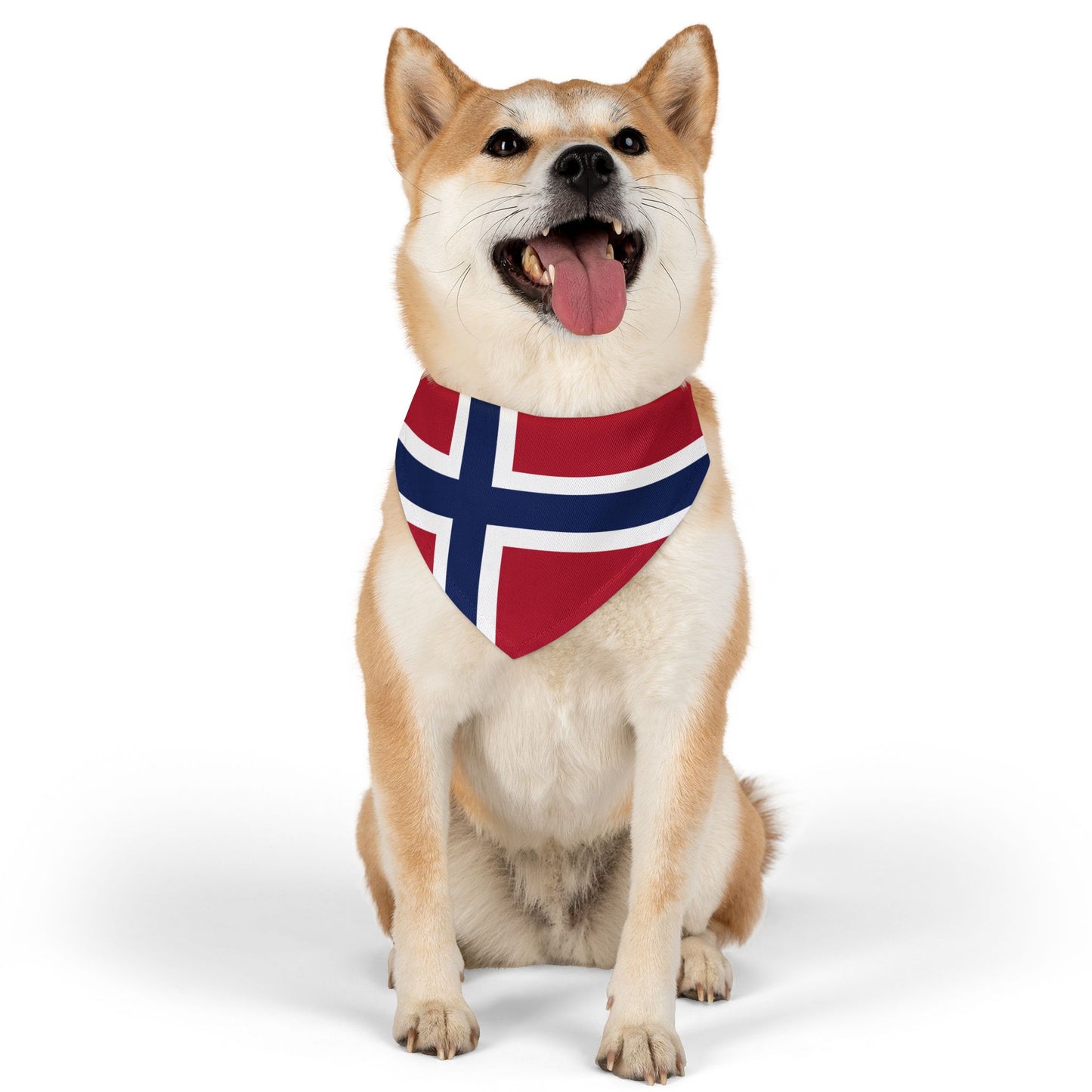 Norway Soccer Dog Bandana — Norwegian Flag Snap-On Pet Bandana, Fan Gear