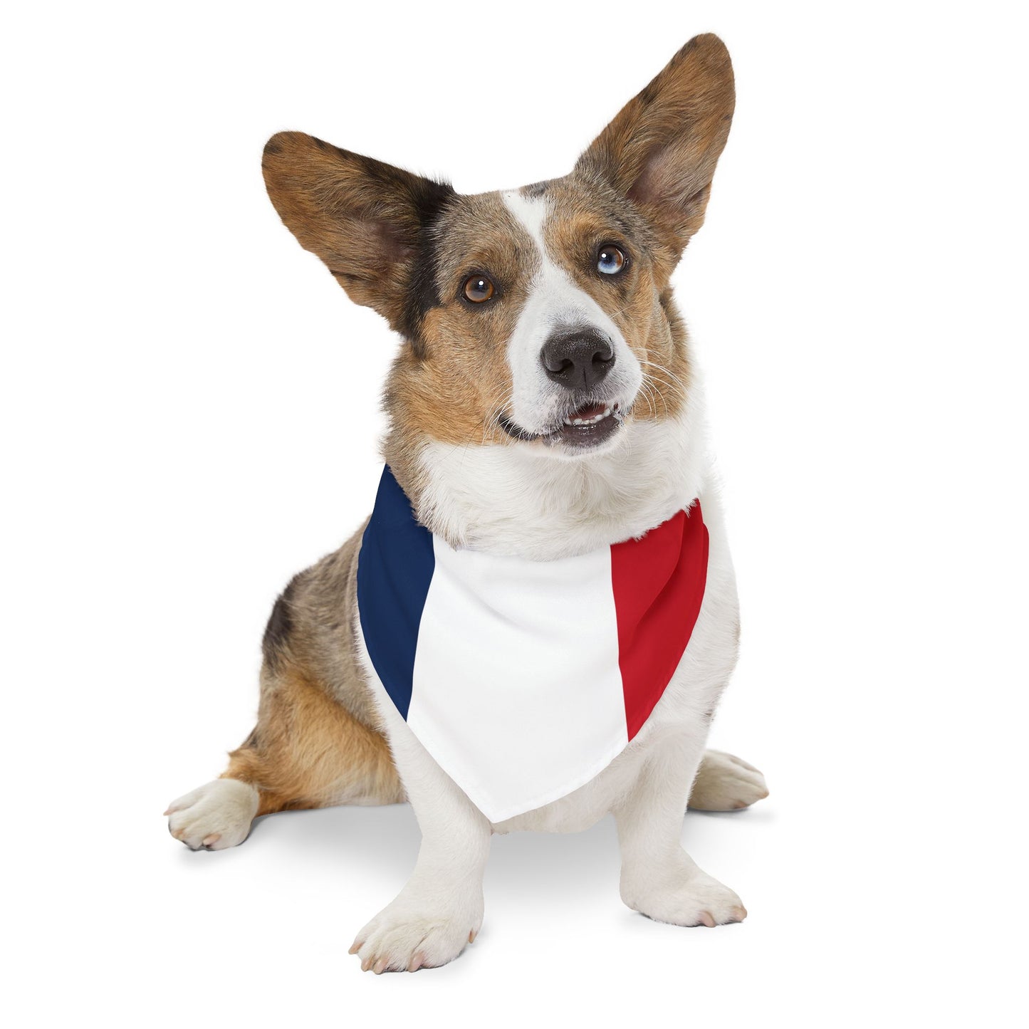 France Soccer Dog Bandana — French Flag Snap-On Pet Bandana, Fan Gear