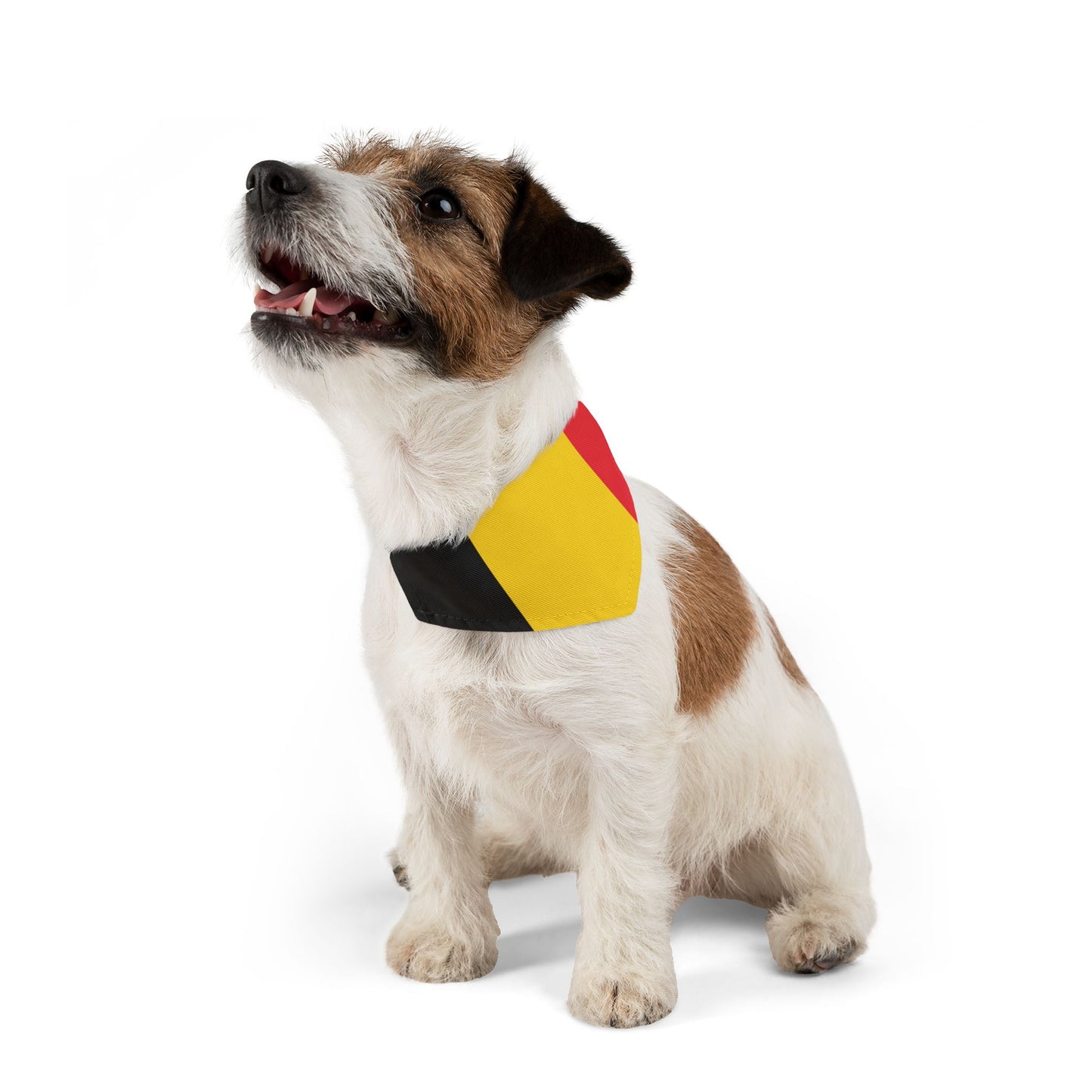 Belgium Soccer Dog Bandana — Belgian Flag Snap-On Pet Bandana, Fan Gear