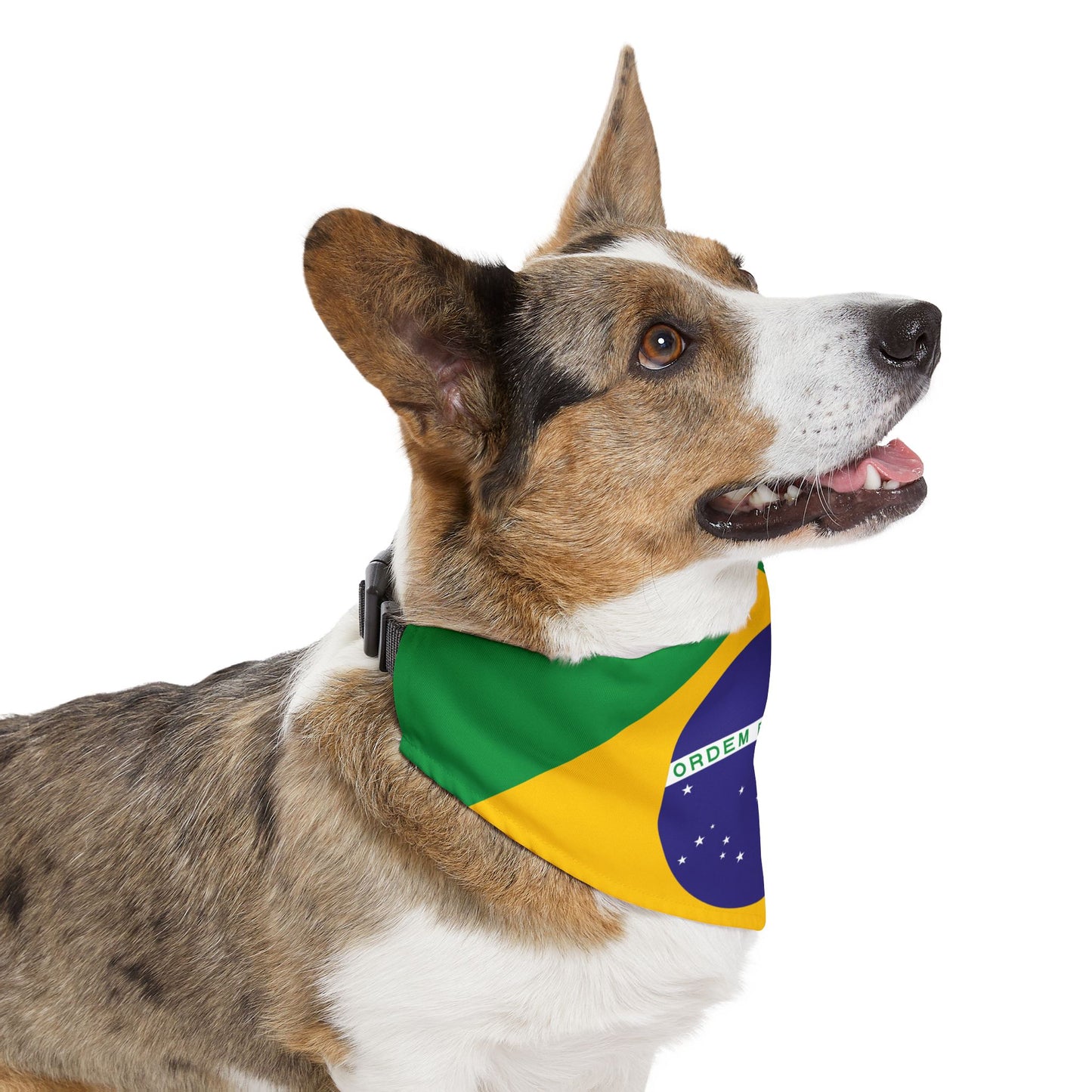 Brazil Soccer Dog Bandana — Brazilian Flag Snap-On Pet Bandana, Fan Gear