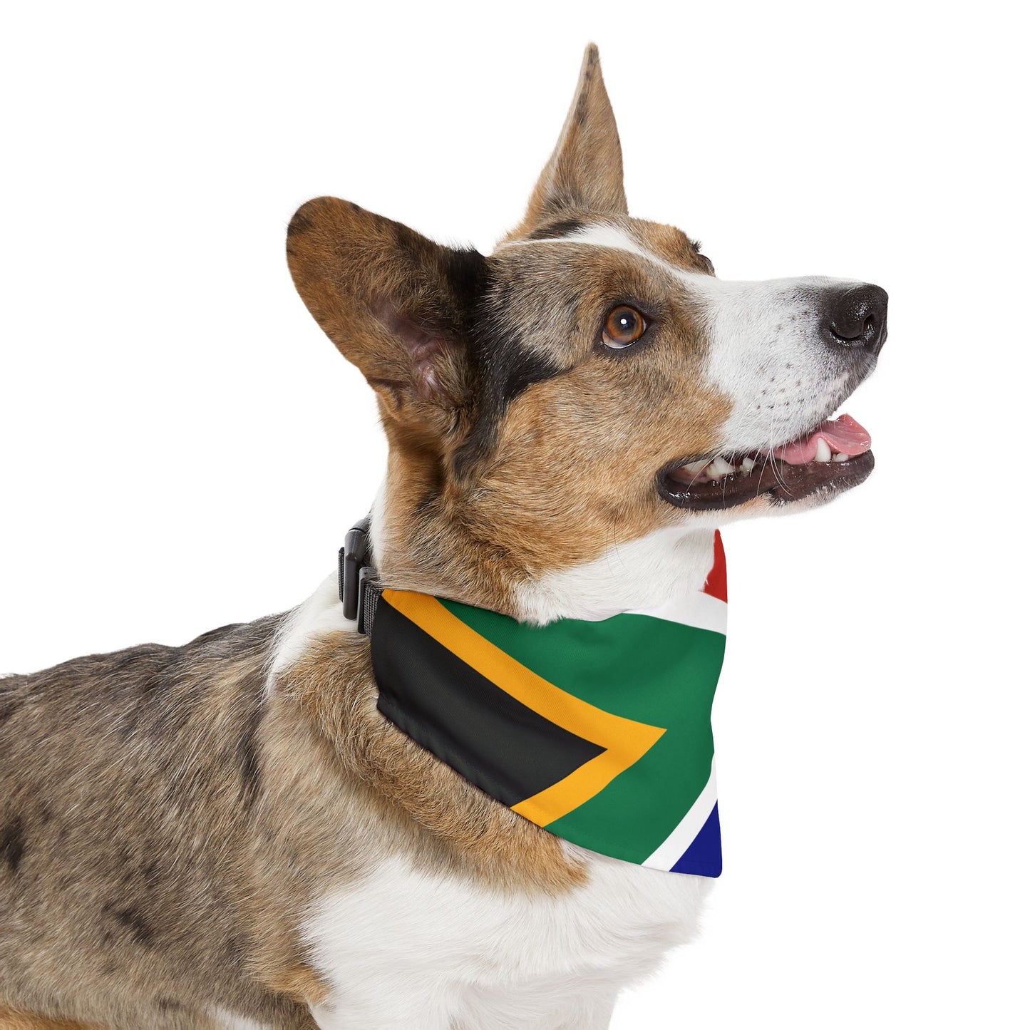 South Africa Soccer Dog Bandana — South African Flag Snap-On Pet Bandana, Fan Gear