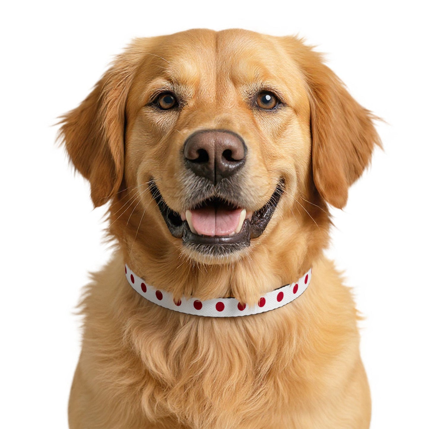 Japan Soccer Dog Collar — Japanese Flag Grid Clip-On Pet Collar, Fan Gear