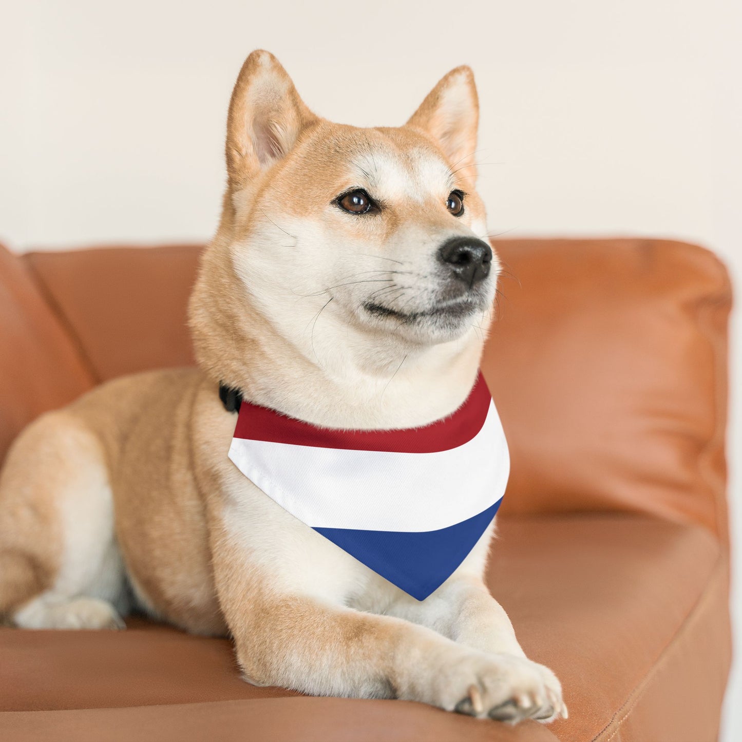 Netherlands Soccer Dog Bandana — Dutch Flag Snap-On Pet Bandana, Fan Gear