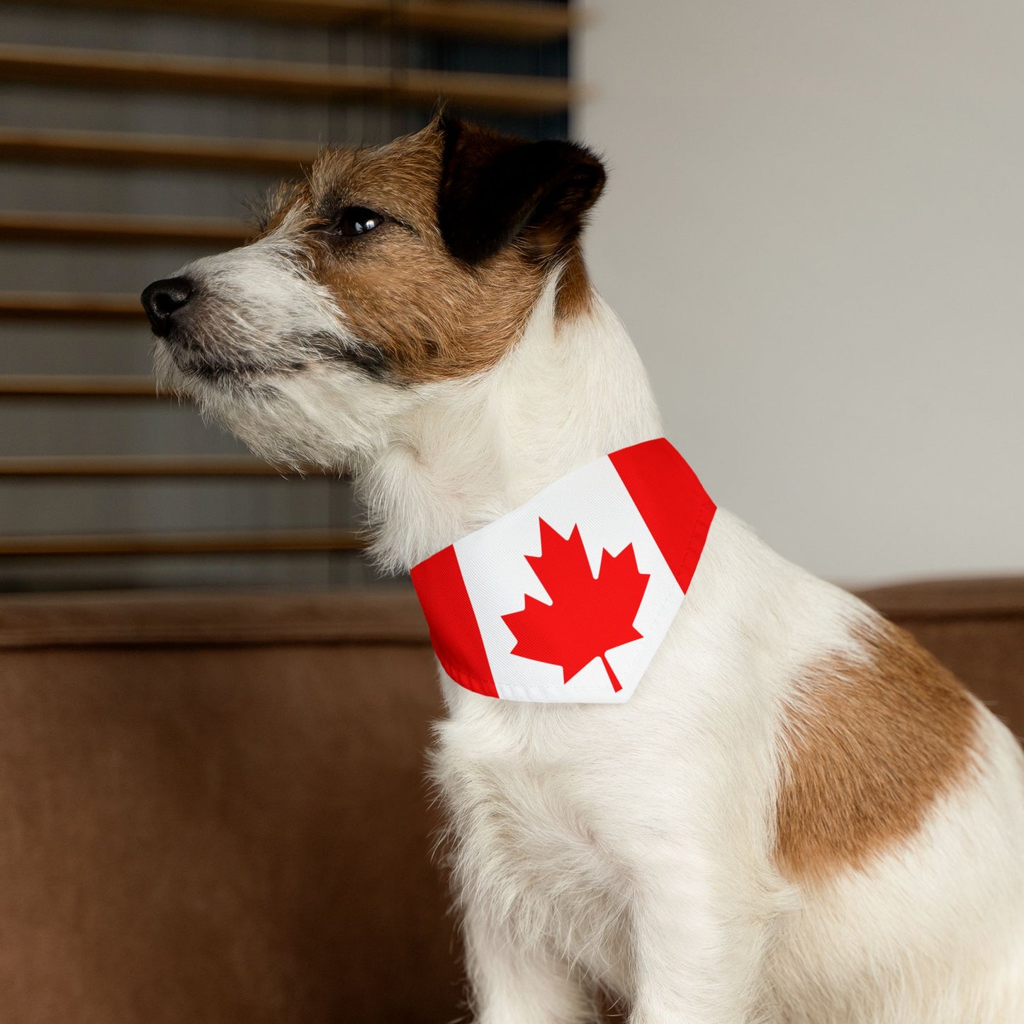 Canada Soccer Dog Bandana — Canadian Flag Snap-On Pet Bandana, Fan Gear