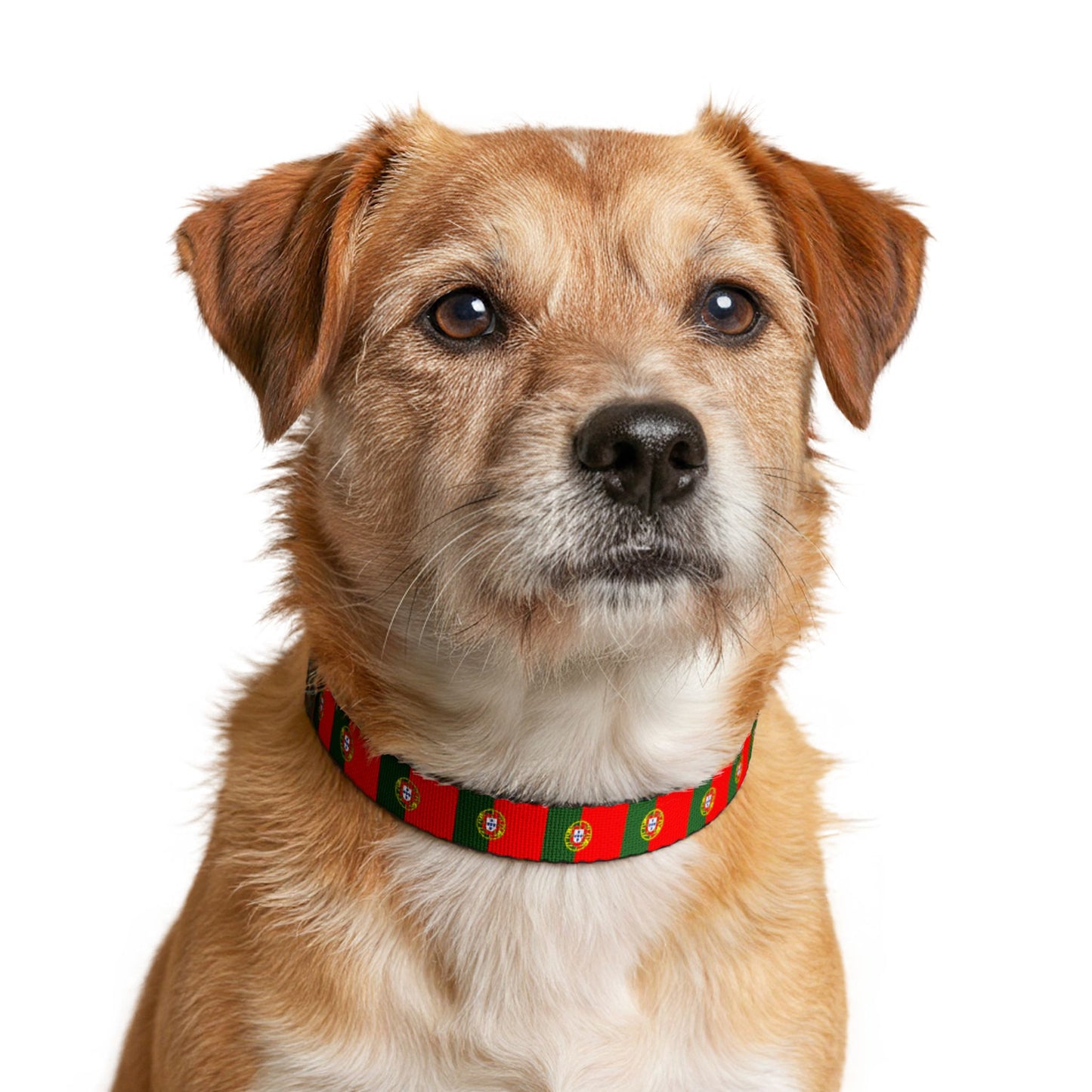 Portugal Soccer Dog Collar — Portuguese Flag Grid Clip-On Pet Collar, Fan Gear