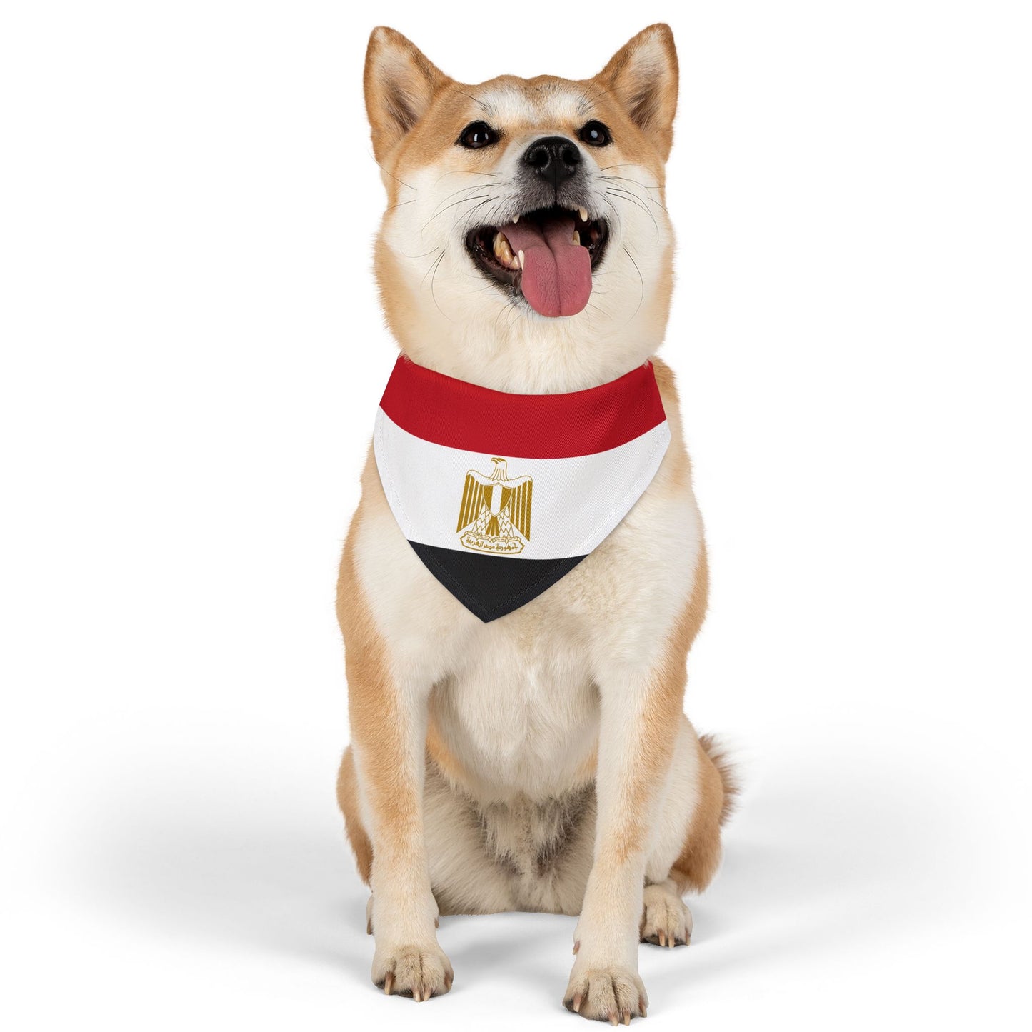 Egypt Soccer Dog Bandana — Egyptian Flag Snap-On Pet Bandana, Fan Gear