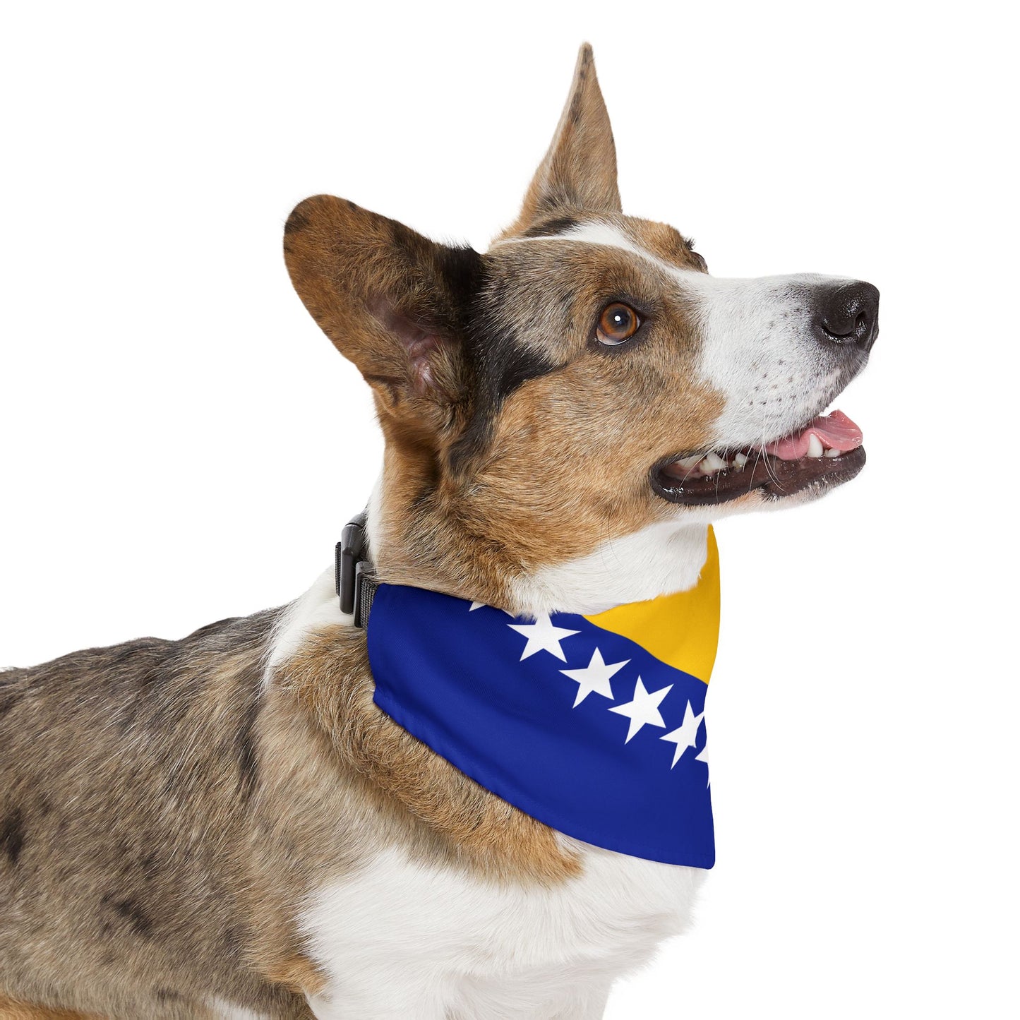 Bosnia and Herzegovina Soccer Dog Bandana — Bosnian Flag Snap-On Pet Bandana, Fan Gear