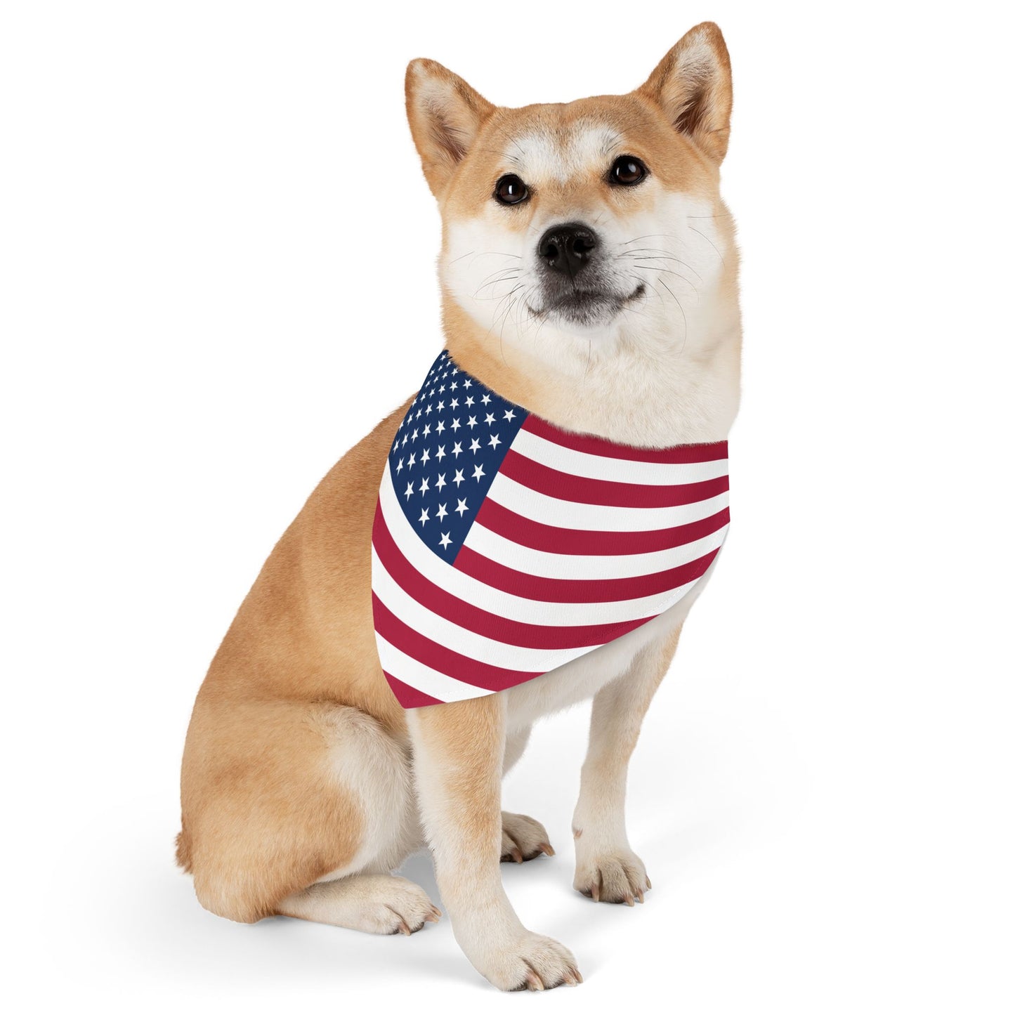 United States Soccer Dog Collar — American Flag Grid Clip-On Pet Collar, Fan Gear